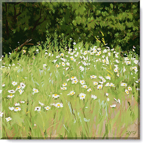 DAISY FIELD LANDSCAPE