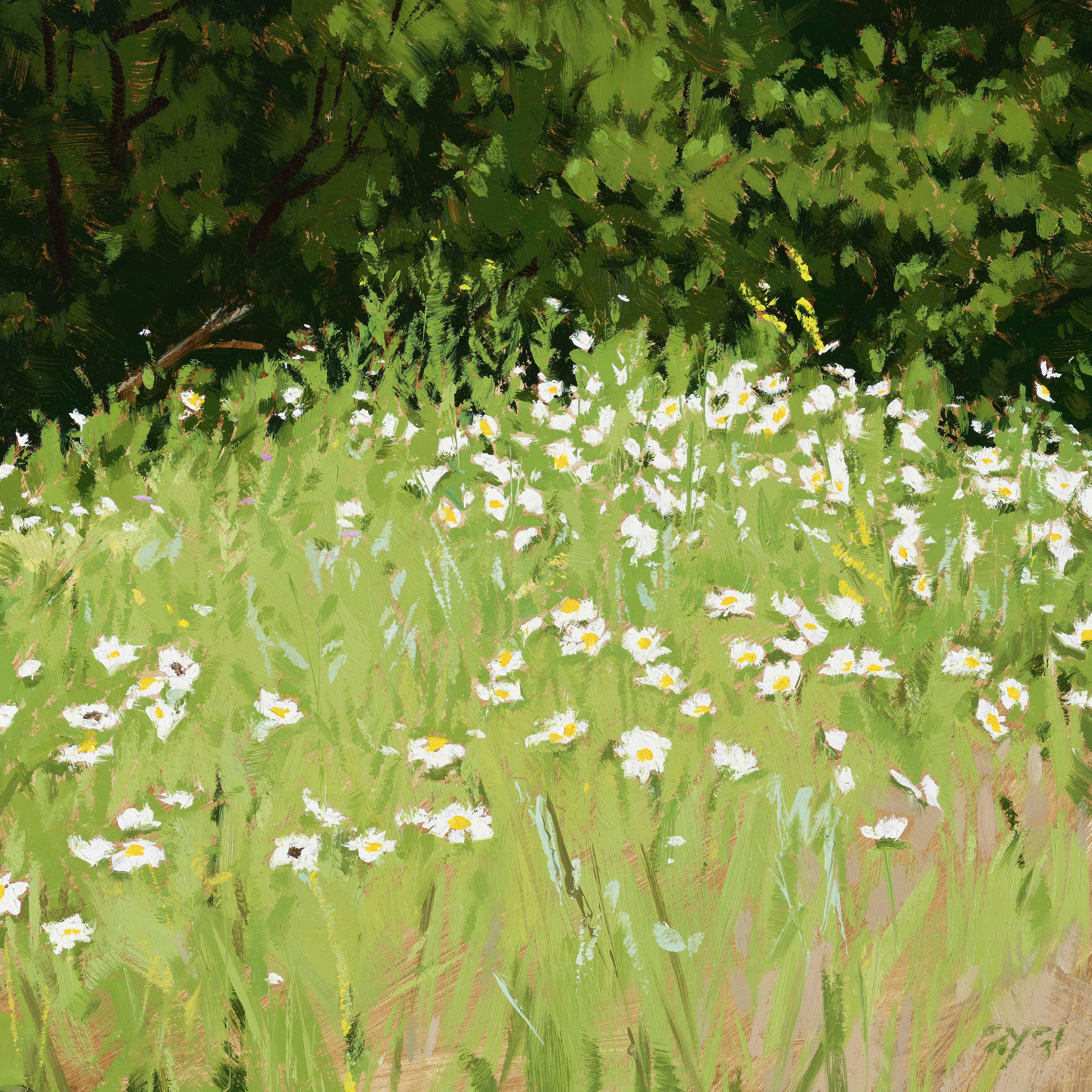 DAISY FIELD GICLEE ARTWORK