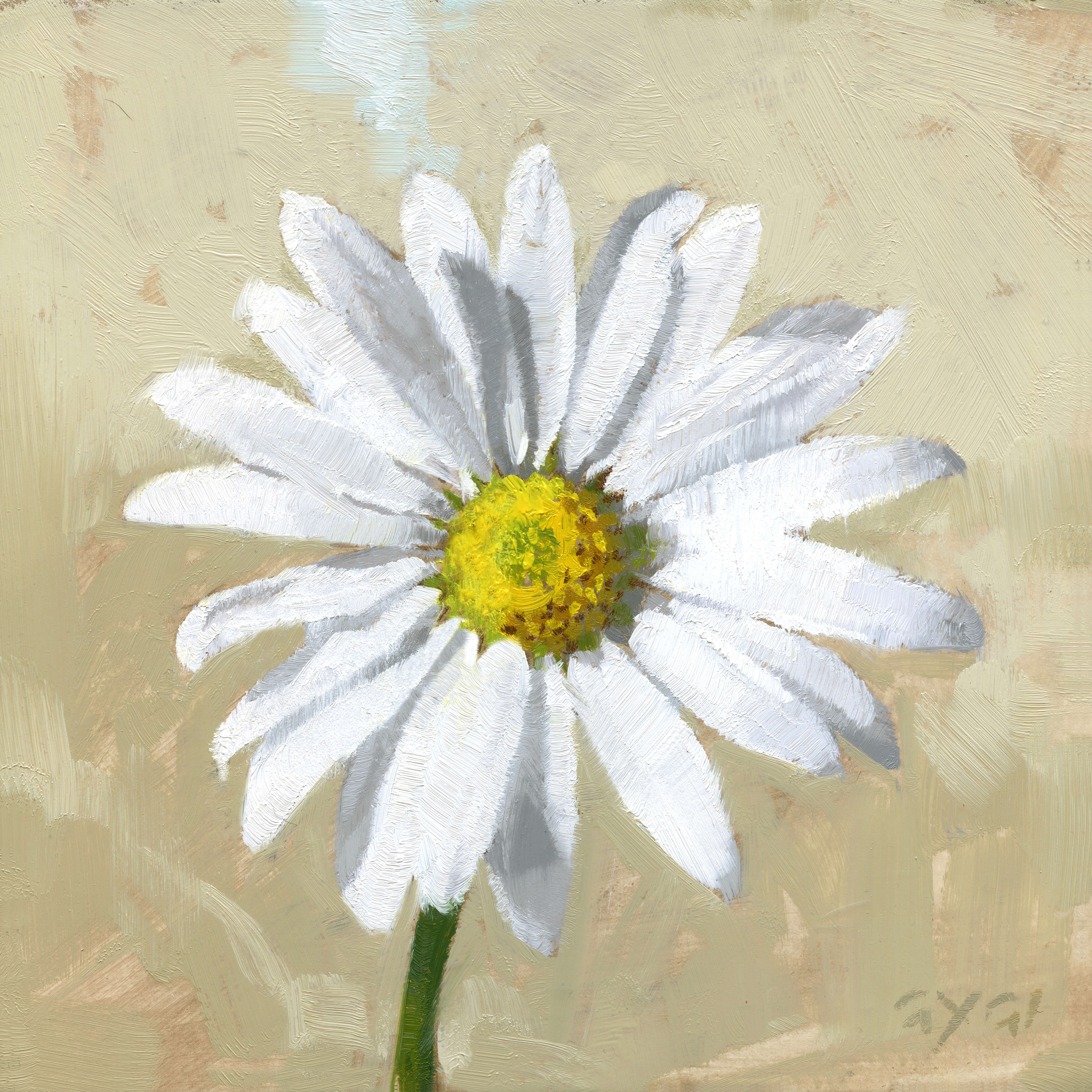 WHITE DAISY GICLEE ARTWORK