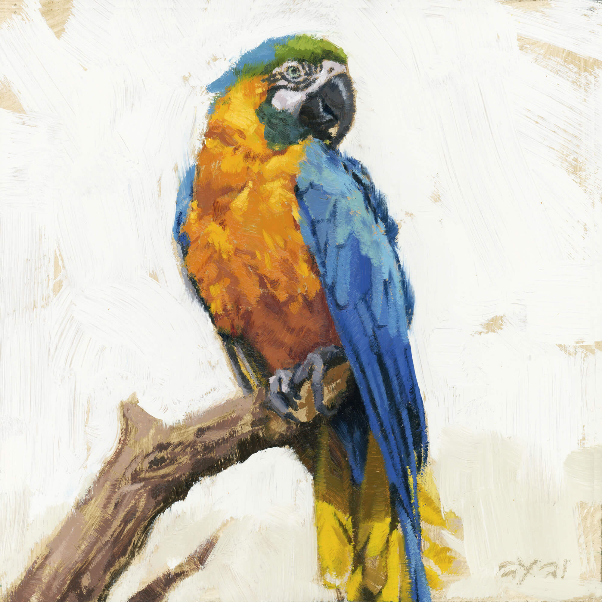 PARROT GICLEE WALL ART