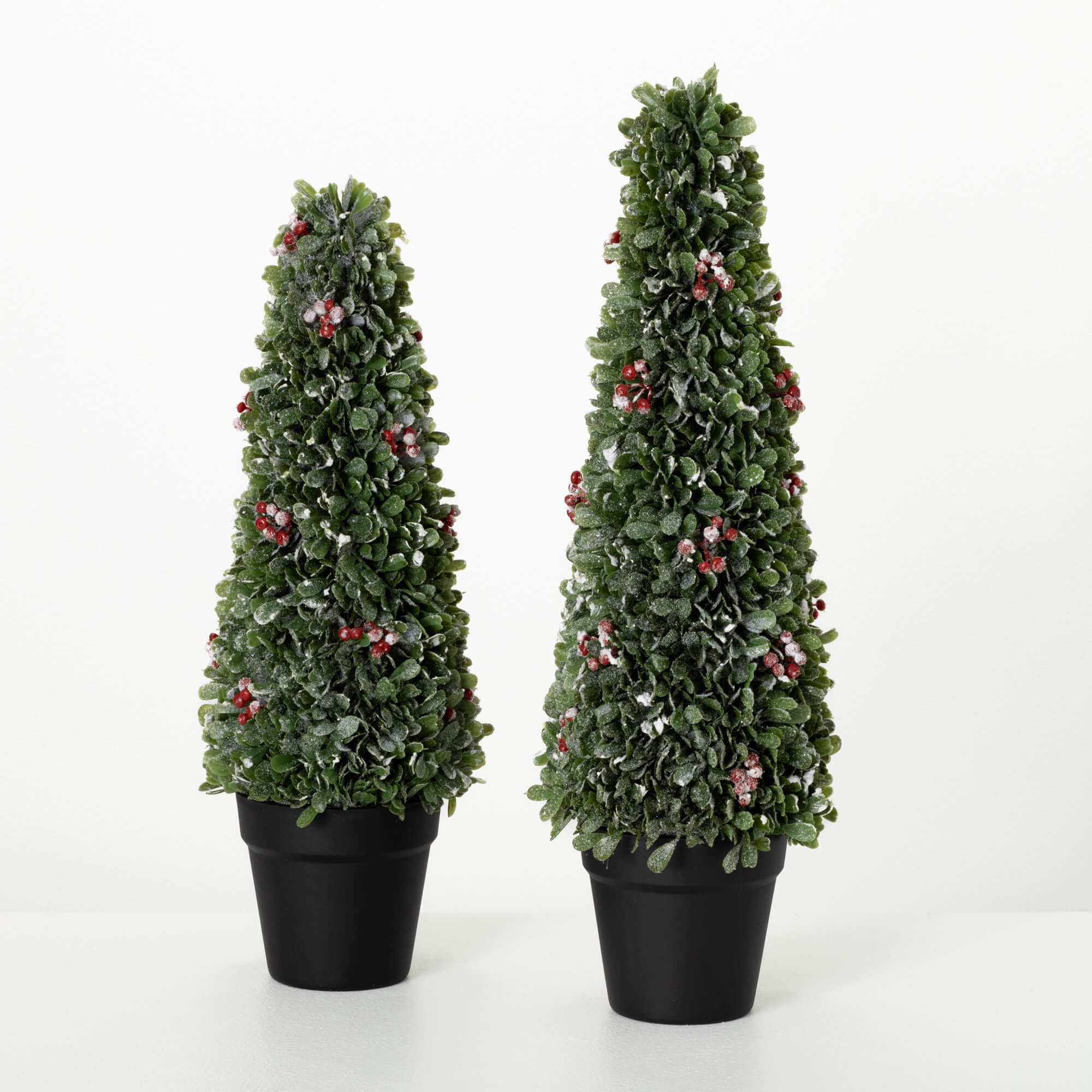 BOXWOOD BERRY TREE SET OF 2