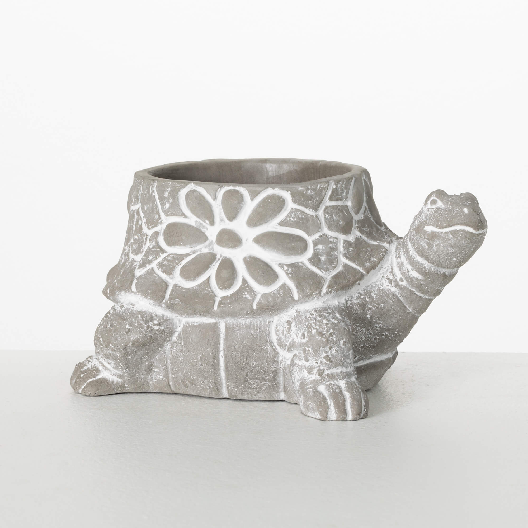 TURTLE POT