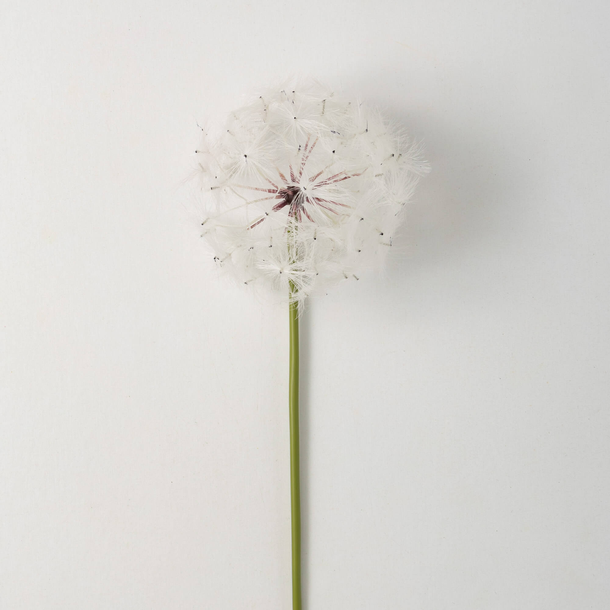 BILLOWY WHITE POM POM STEM