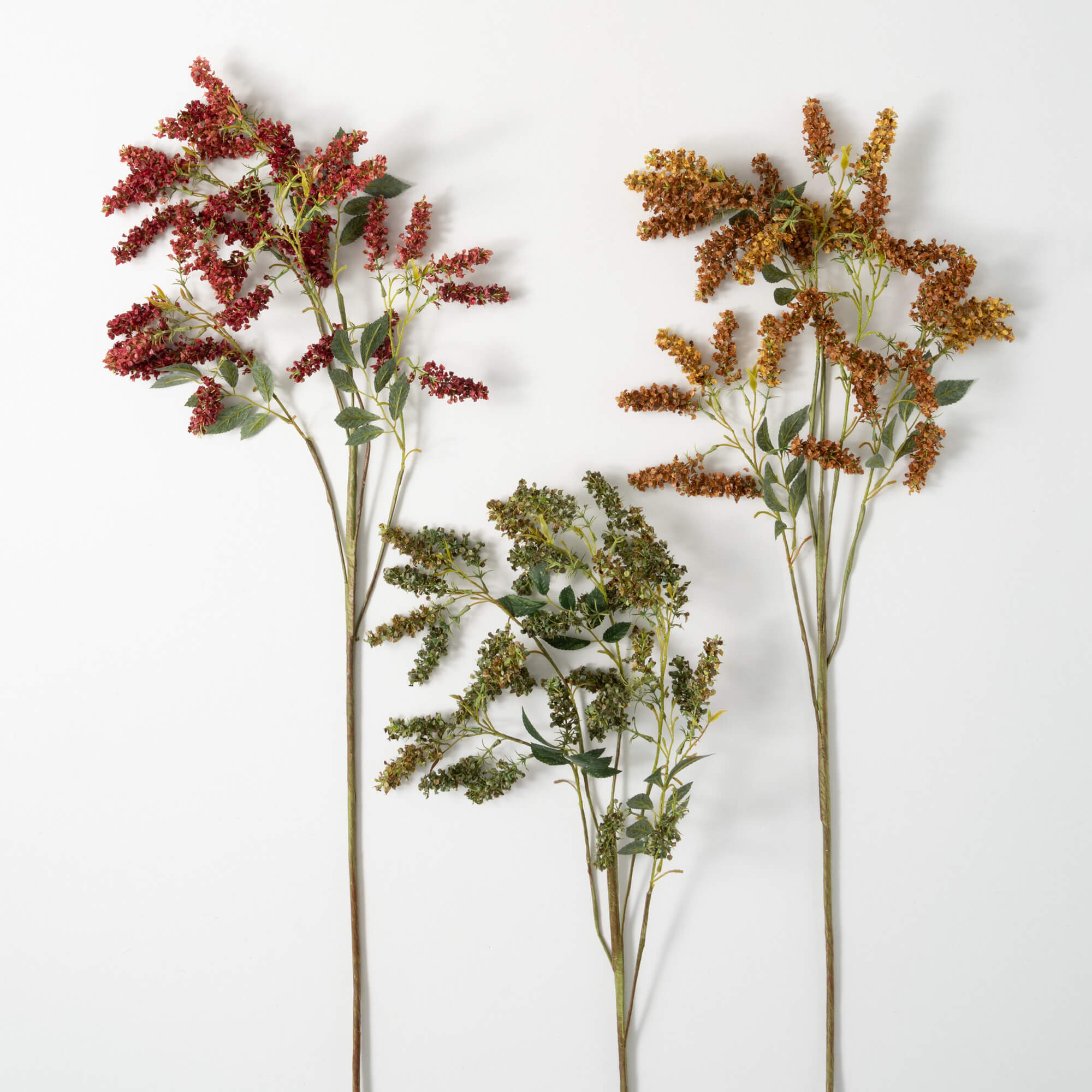 DRIED HOPS STEMS TRIO