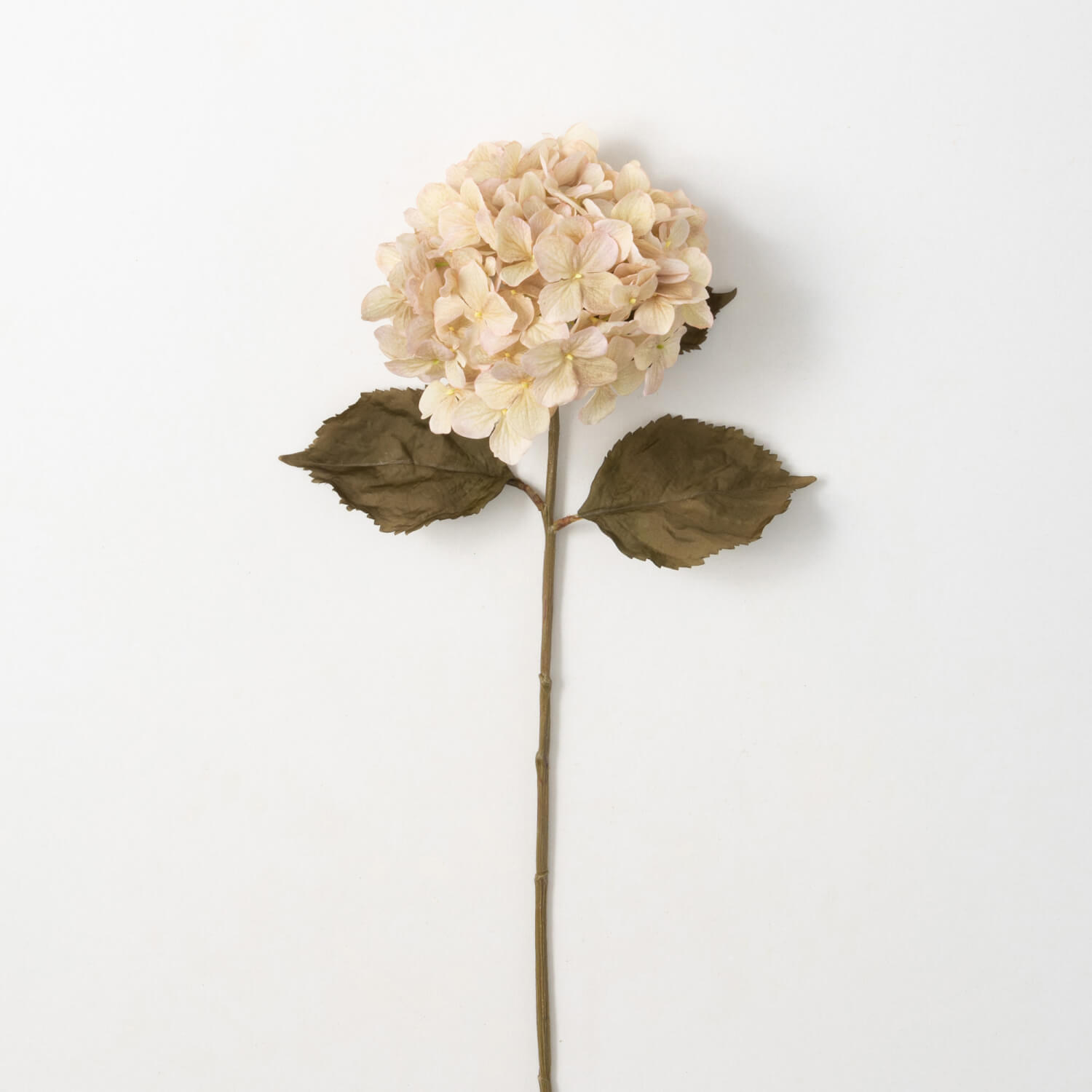 TAN HYDRANGEA STEM