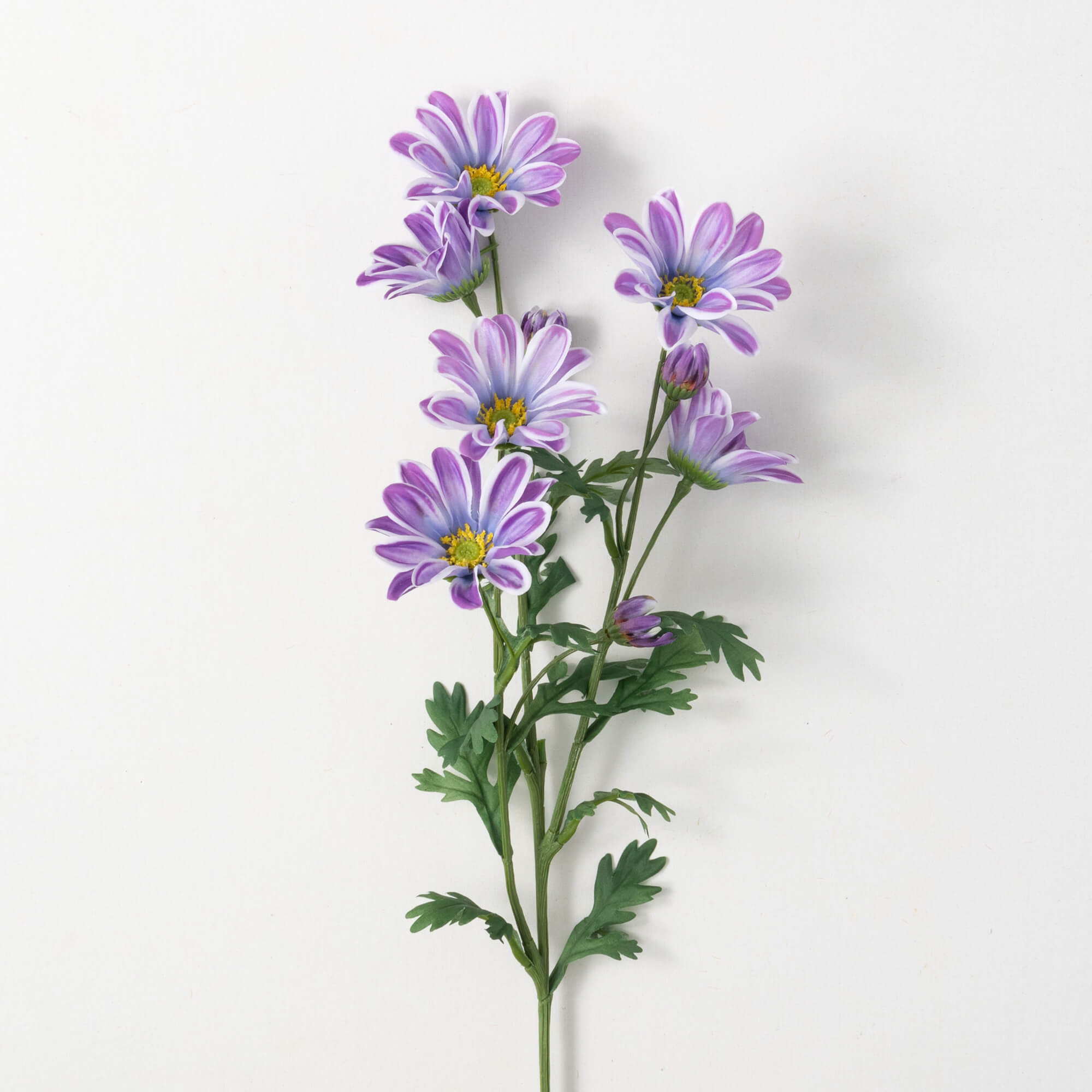 LAVENDER LILAC GAZANIA STEM