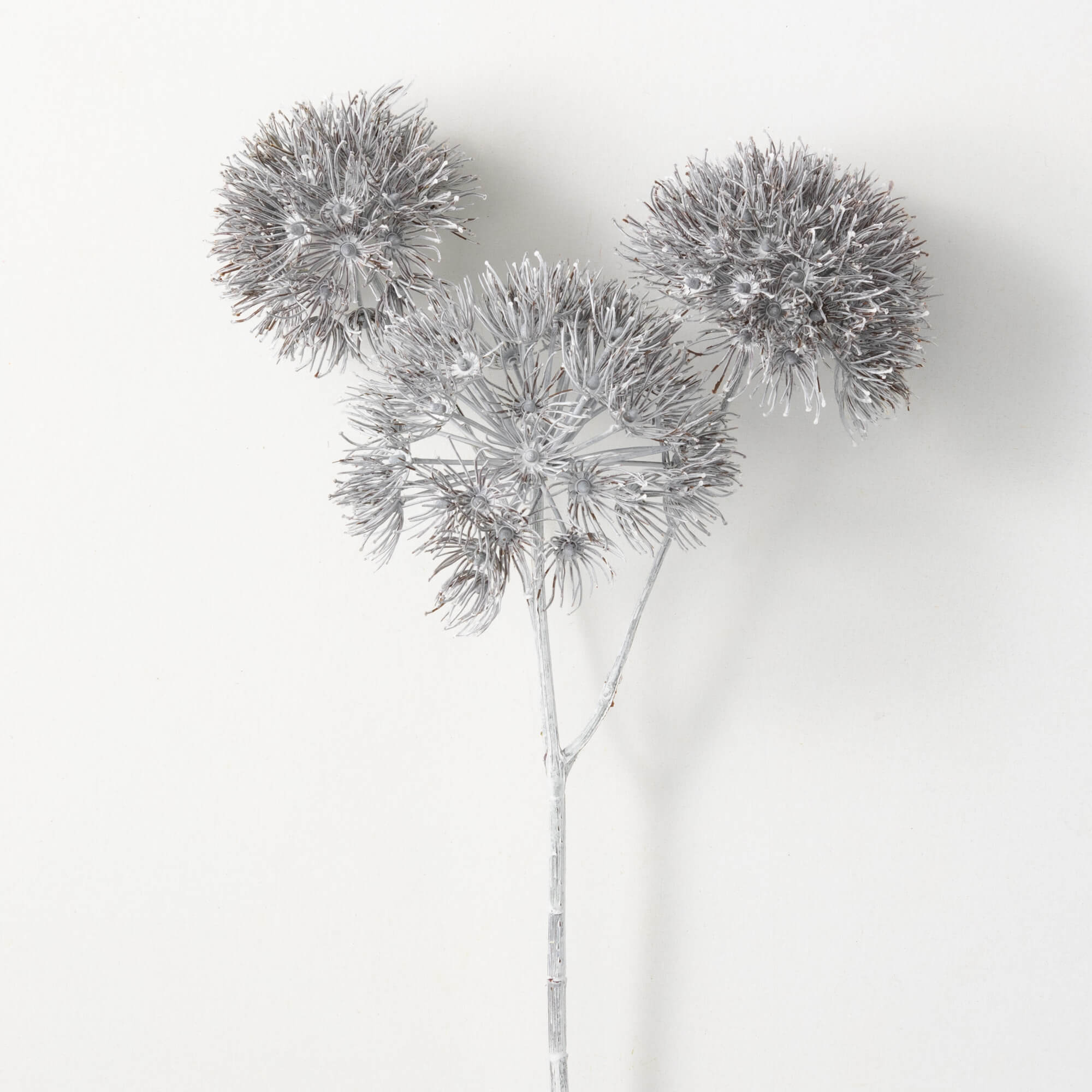 TRIPLE DUSTY CHARCOAL ALLIUM