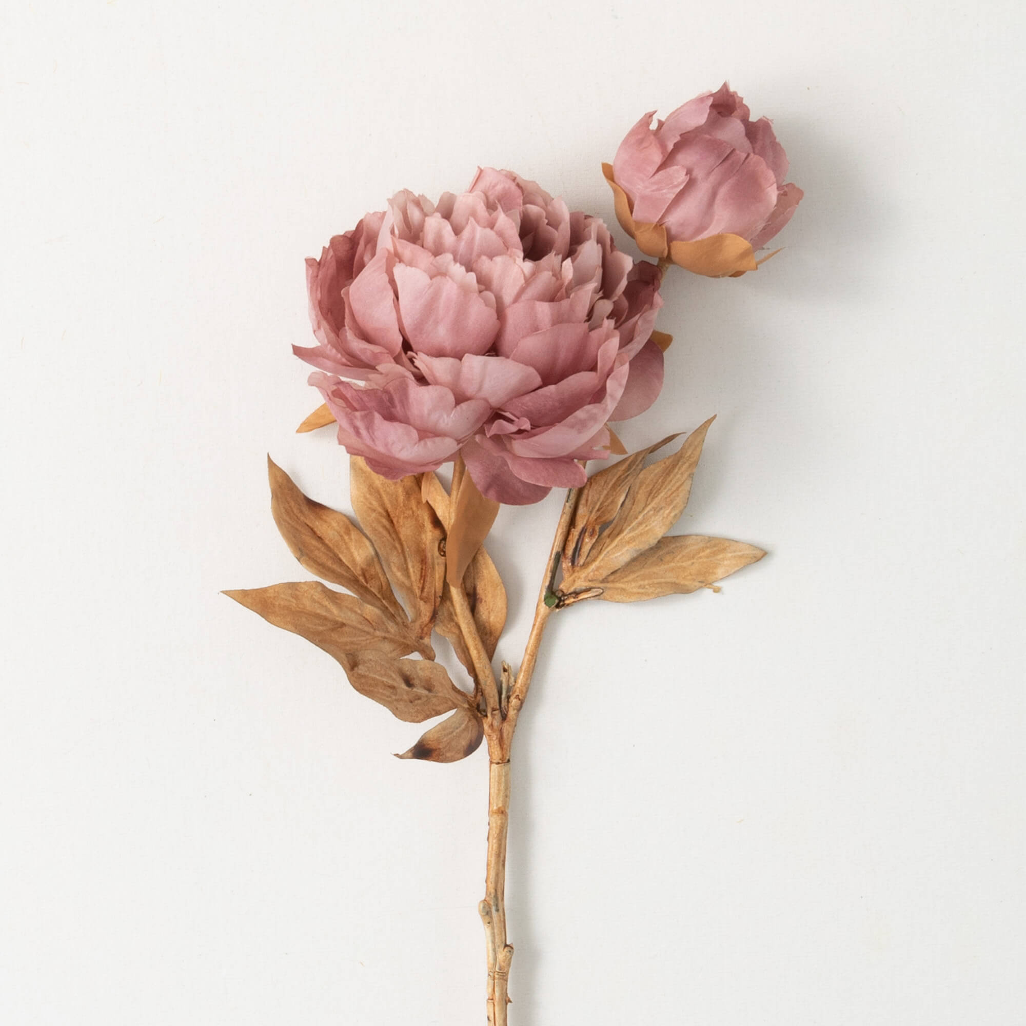 BLUSH PINK BLOOMING PEONIES