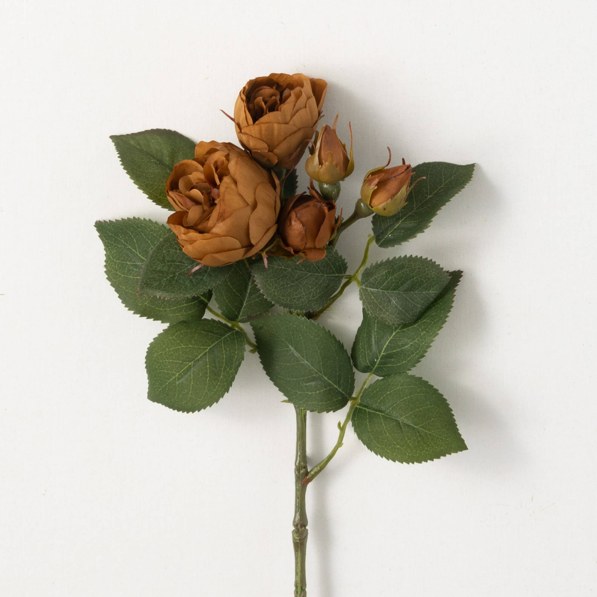 ANTIQUE BROWN BLOOMING ROSES