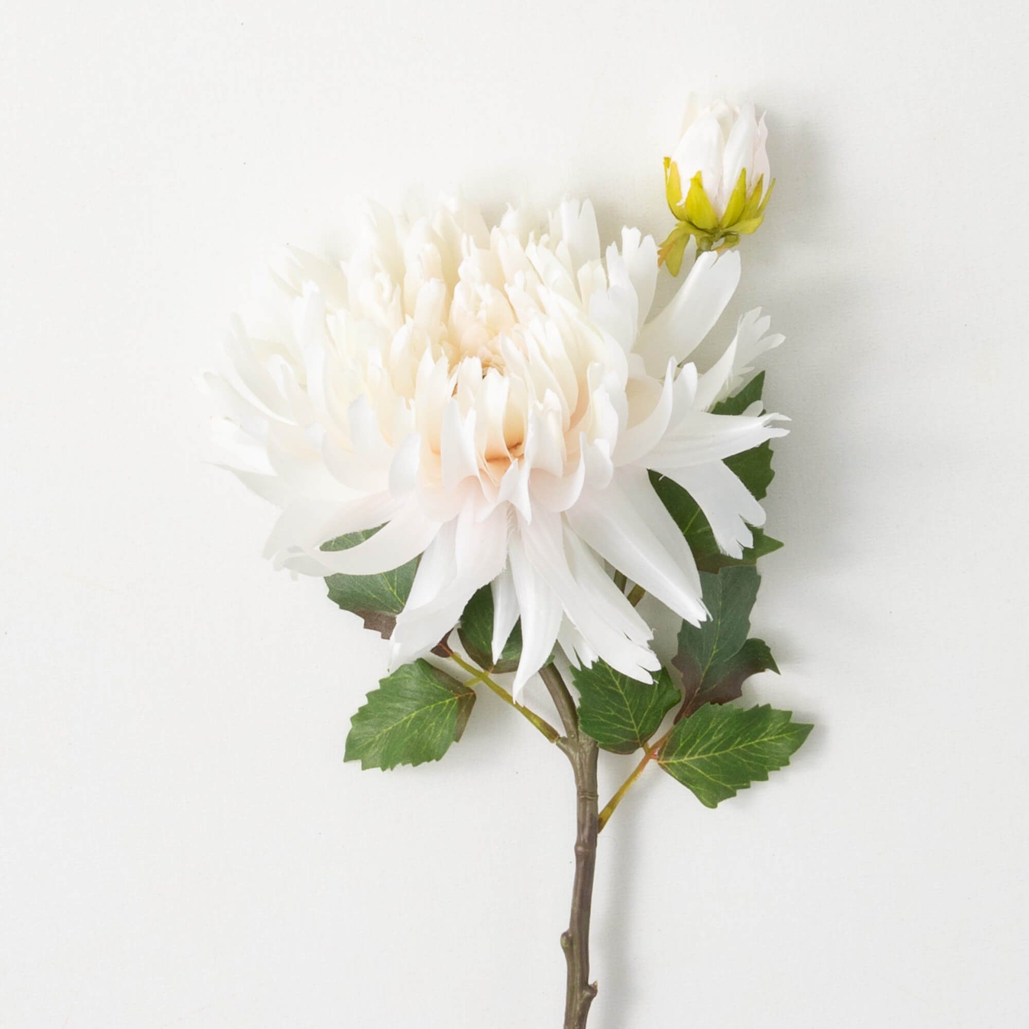 SOFT CREAM DAHLIA SPRAY