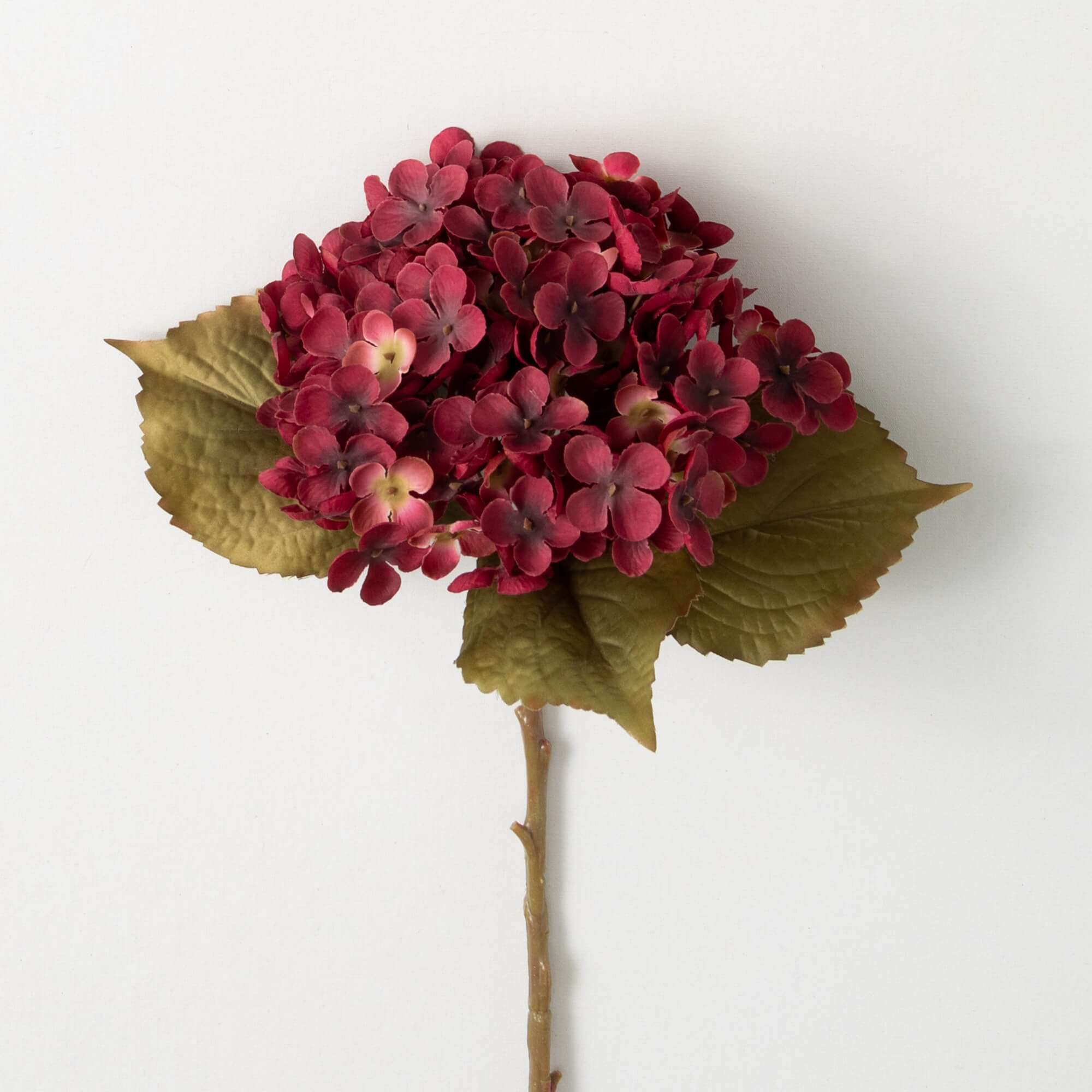 RICH FALL BURNT RED HYDRANGEA