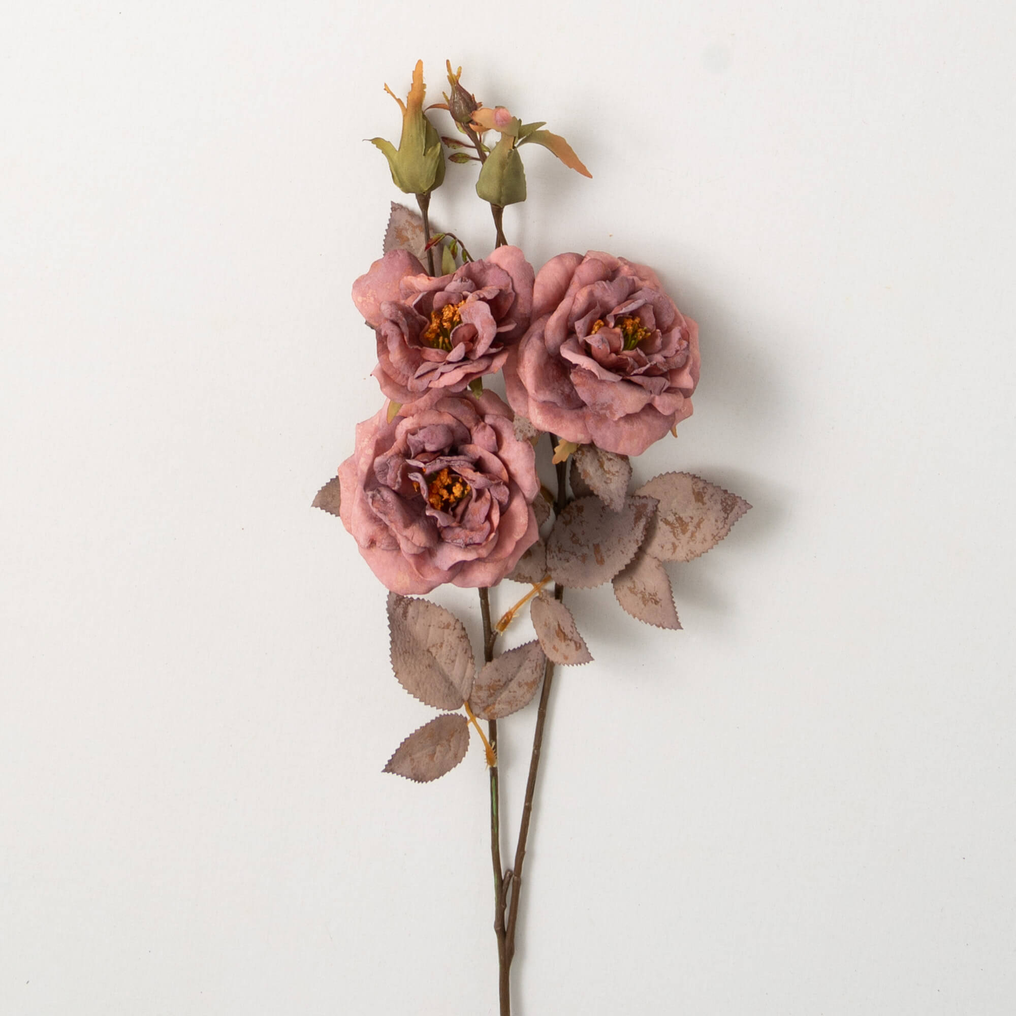 WARM FALL MAUVE ROSE STEM