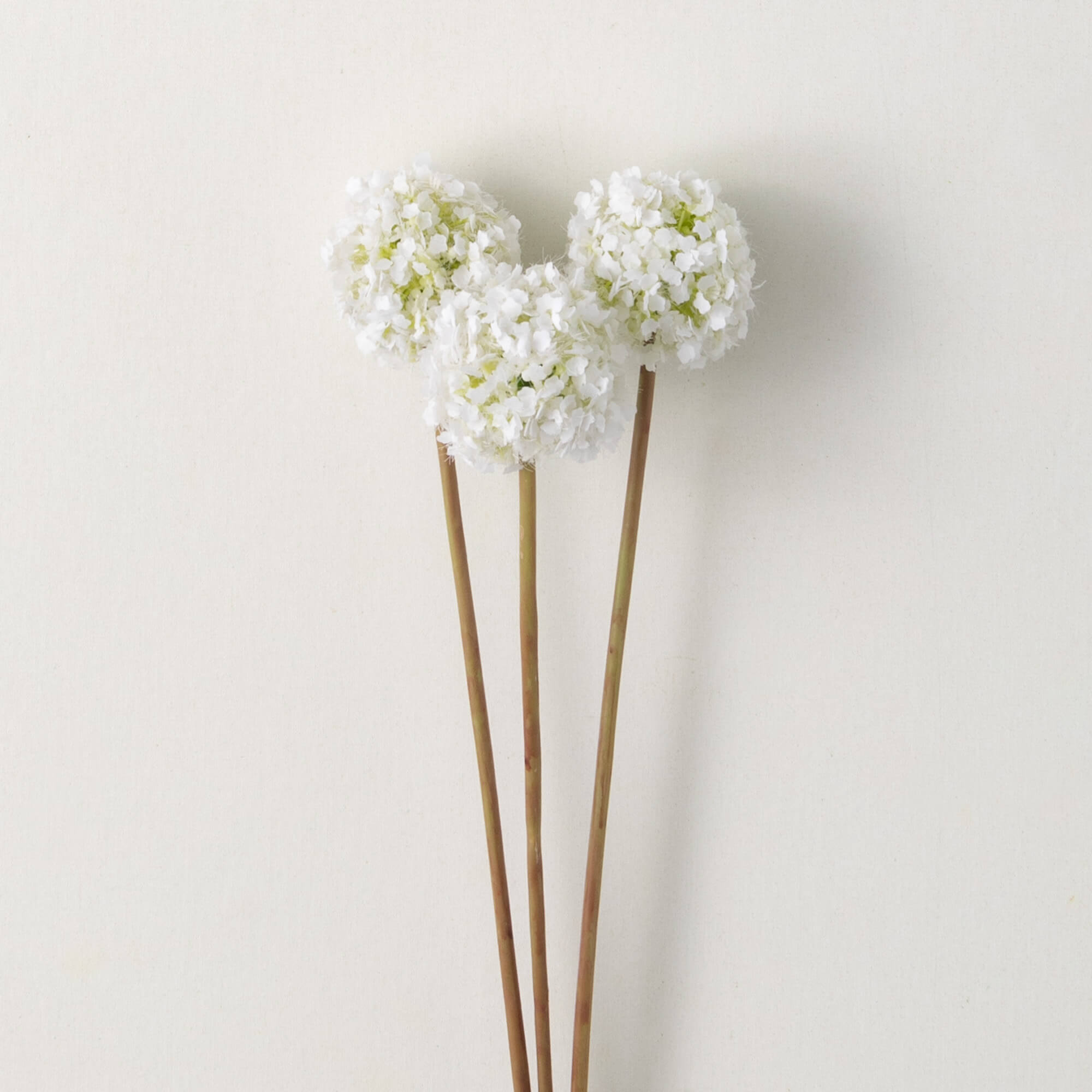 WHITE ALLIUM SPRING BUNCH