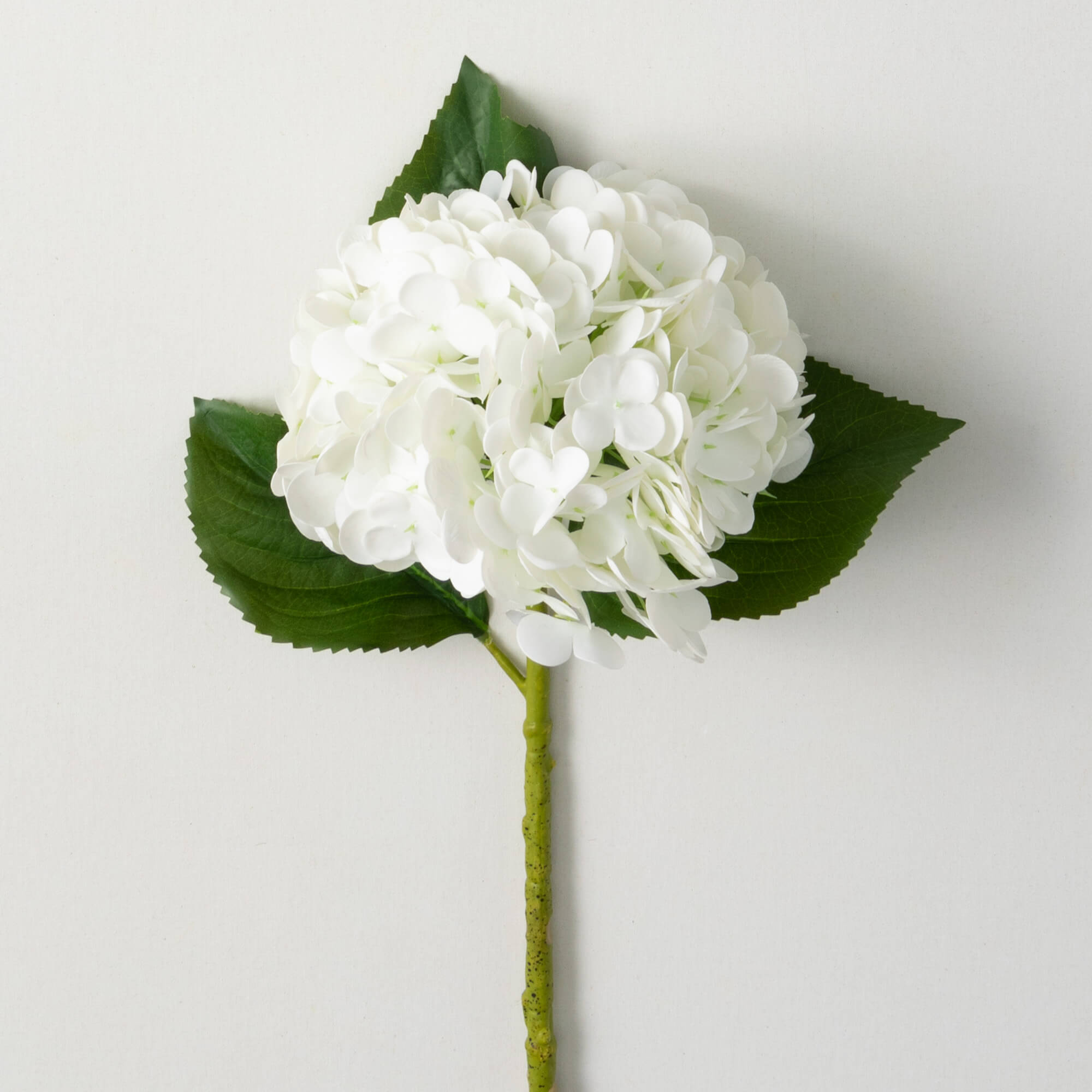 FRESHCUT WHITE HYDRANGEA SPRAY