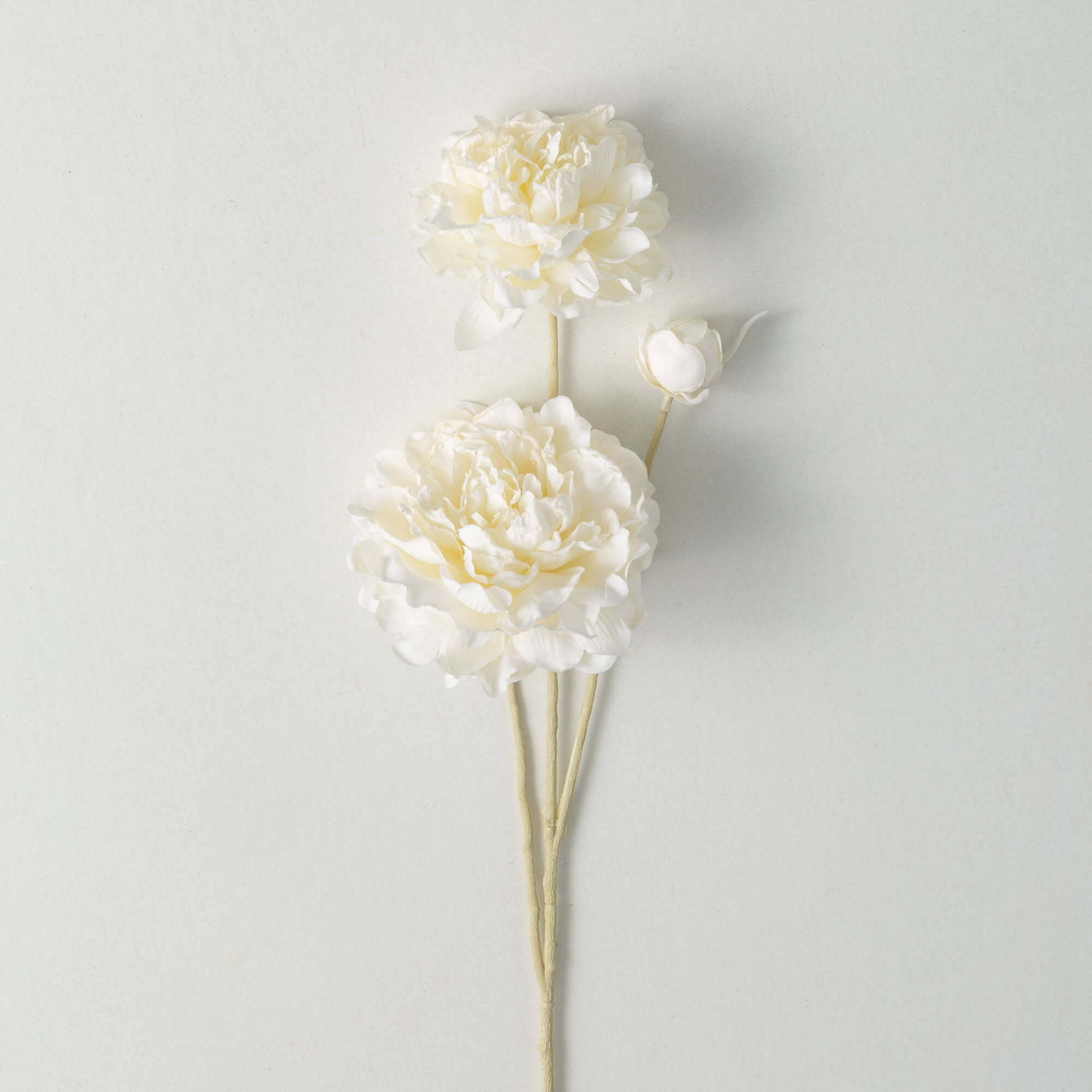 SOFT CREAM PEONY SPRING STEM