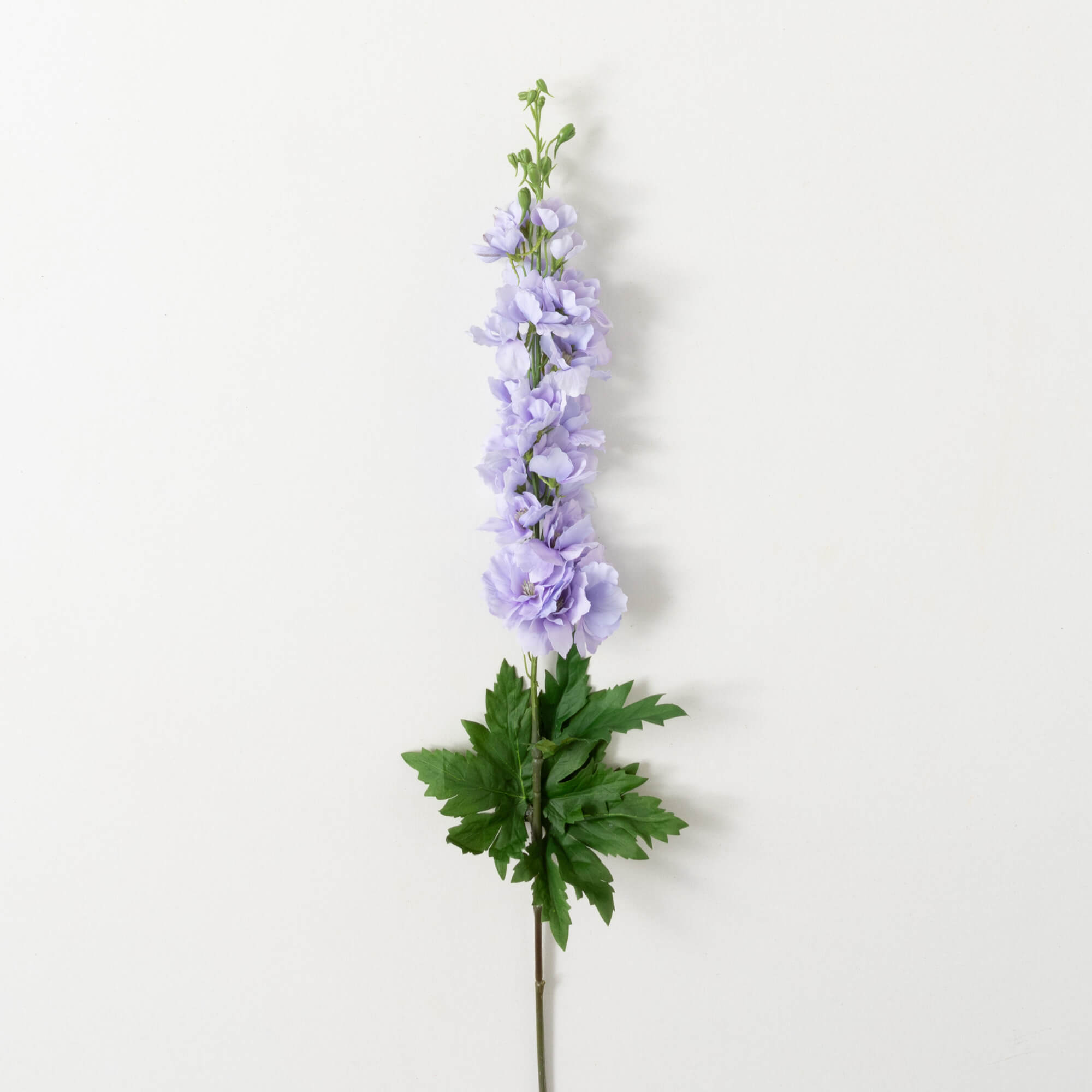 DELPHINIUM SPRAY