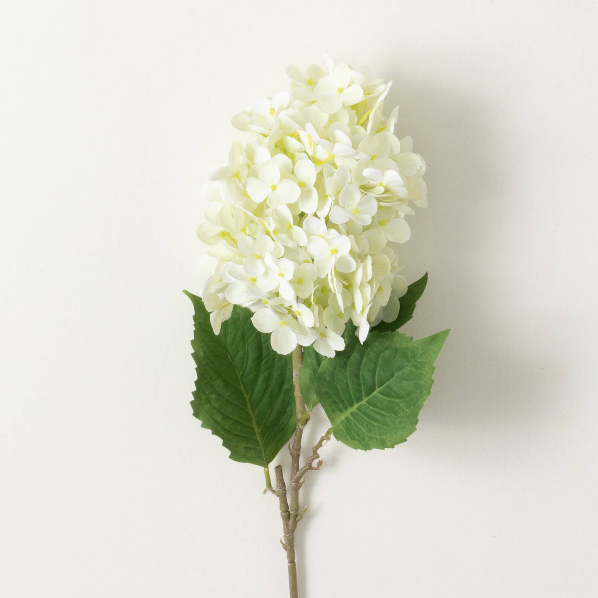 HYDRANGEA SPRAY