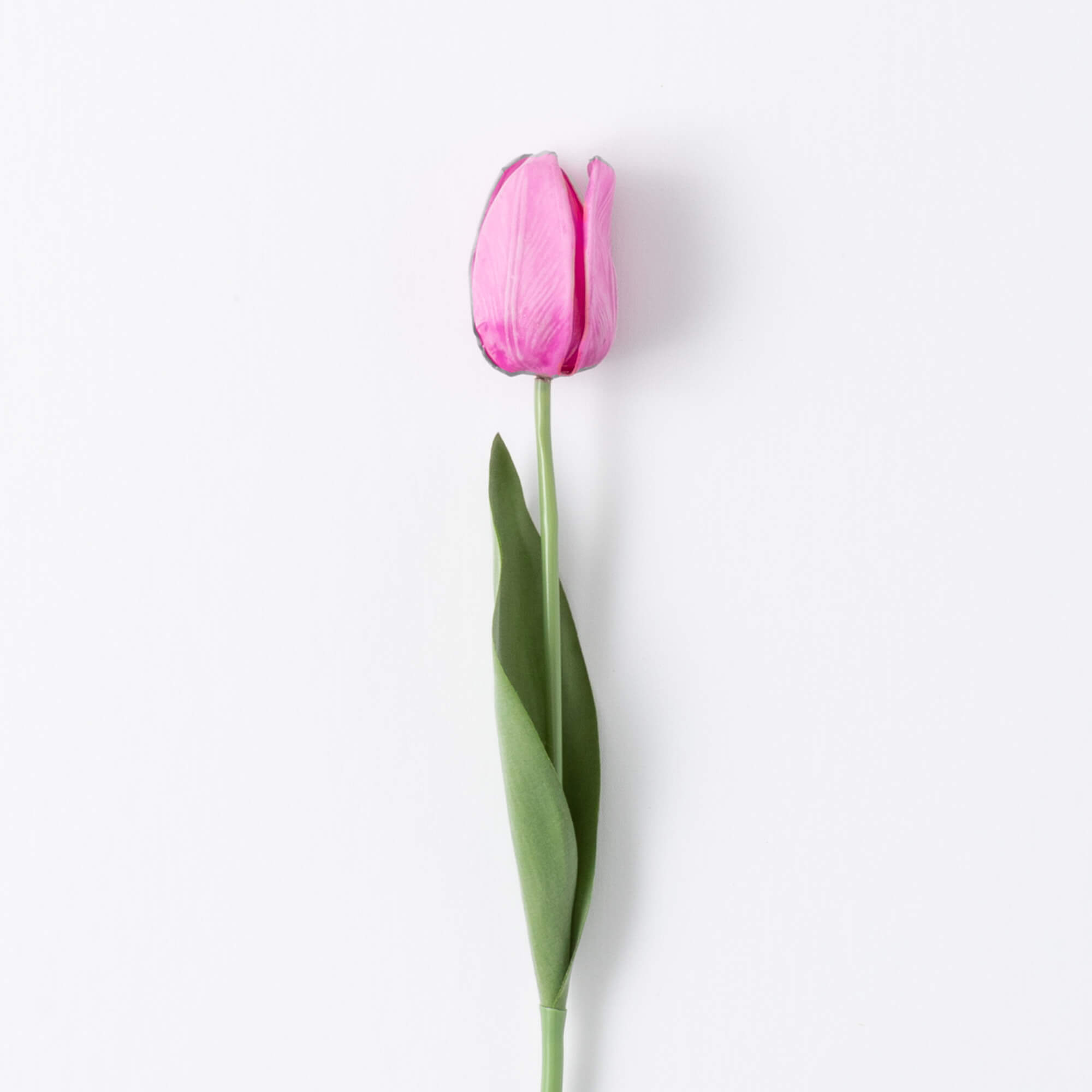 20" HOT PINK TULIP STEM