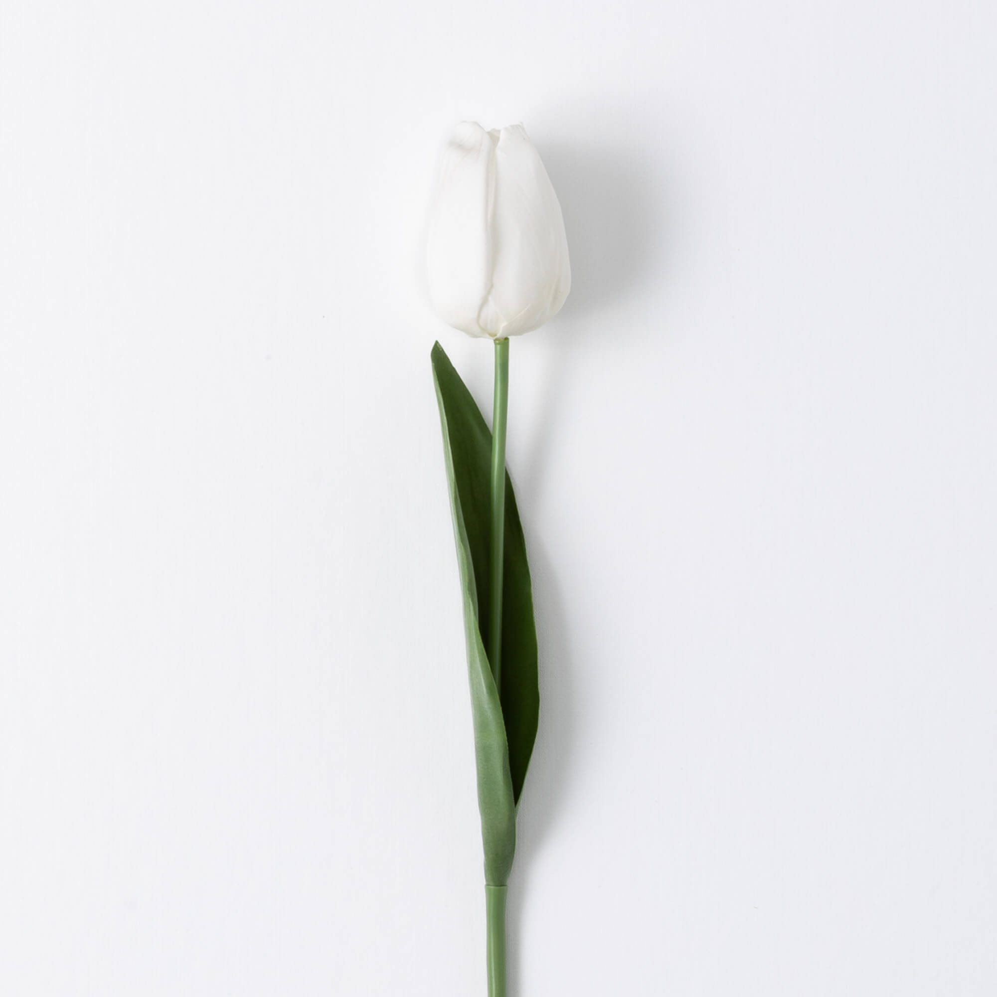 20" WHITE TULIP STEM