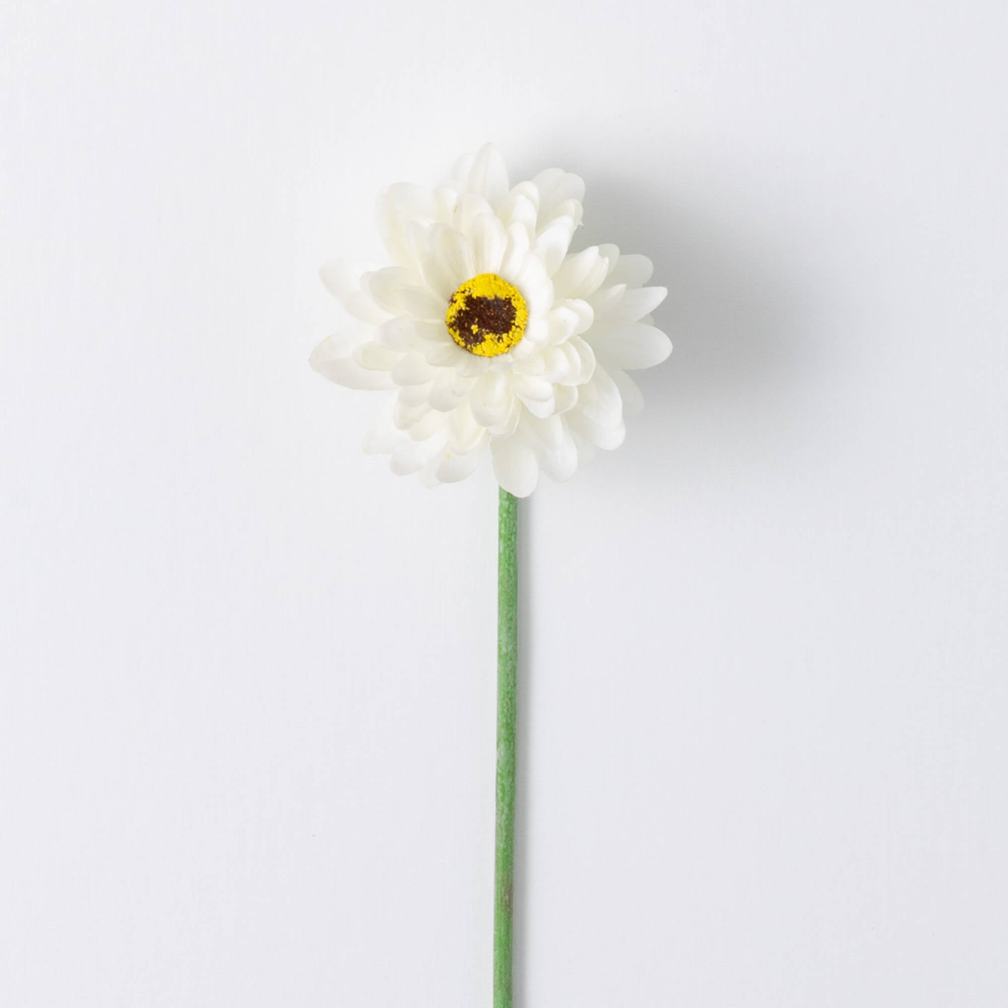 20" WHITE GERBERA DAISY STEM