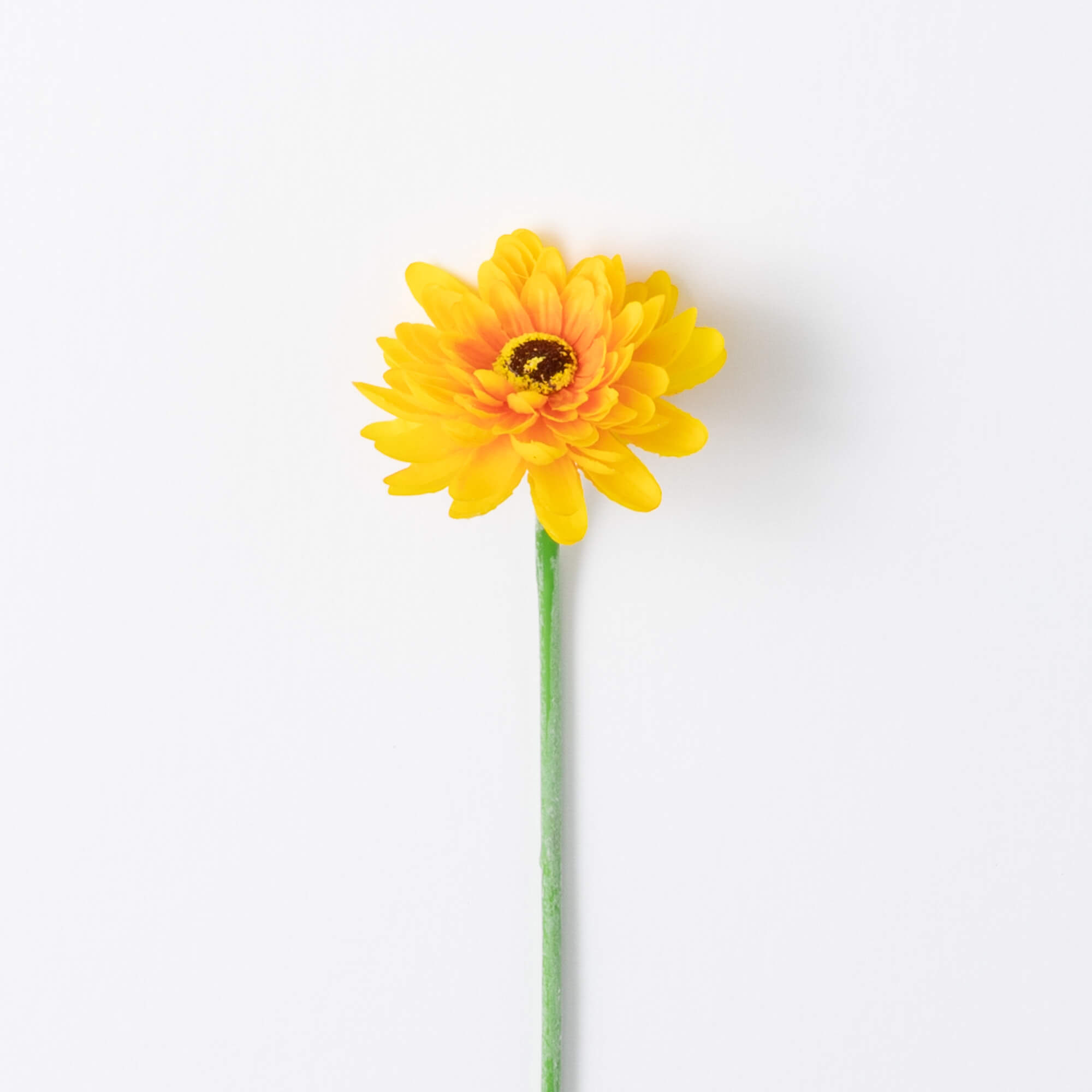 20" YELLOW GERBERA DAISY STEM