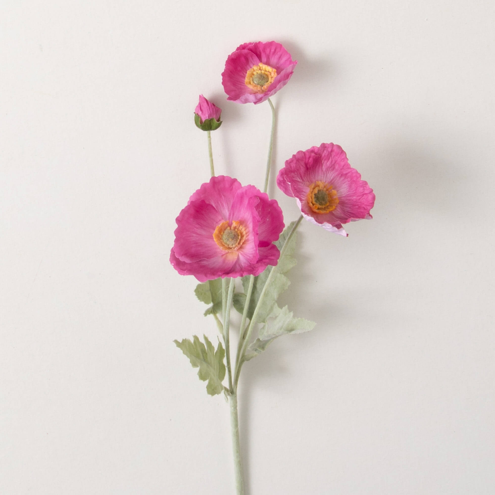 LONG PINK POPPY STEM