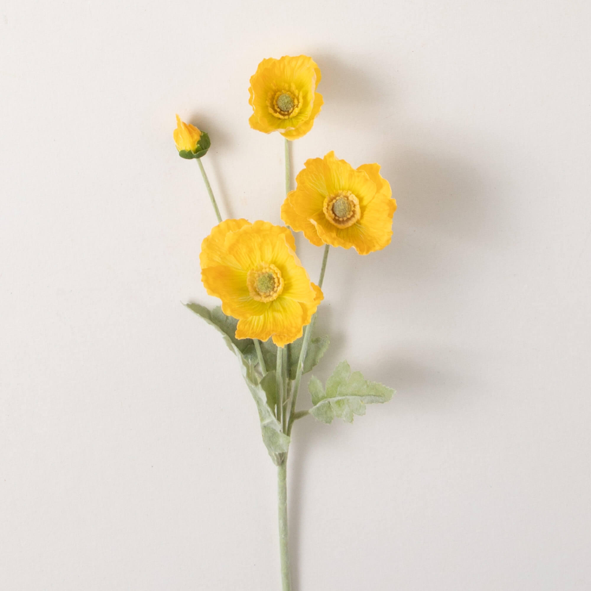 LONG YELLOW POPPY STEM