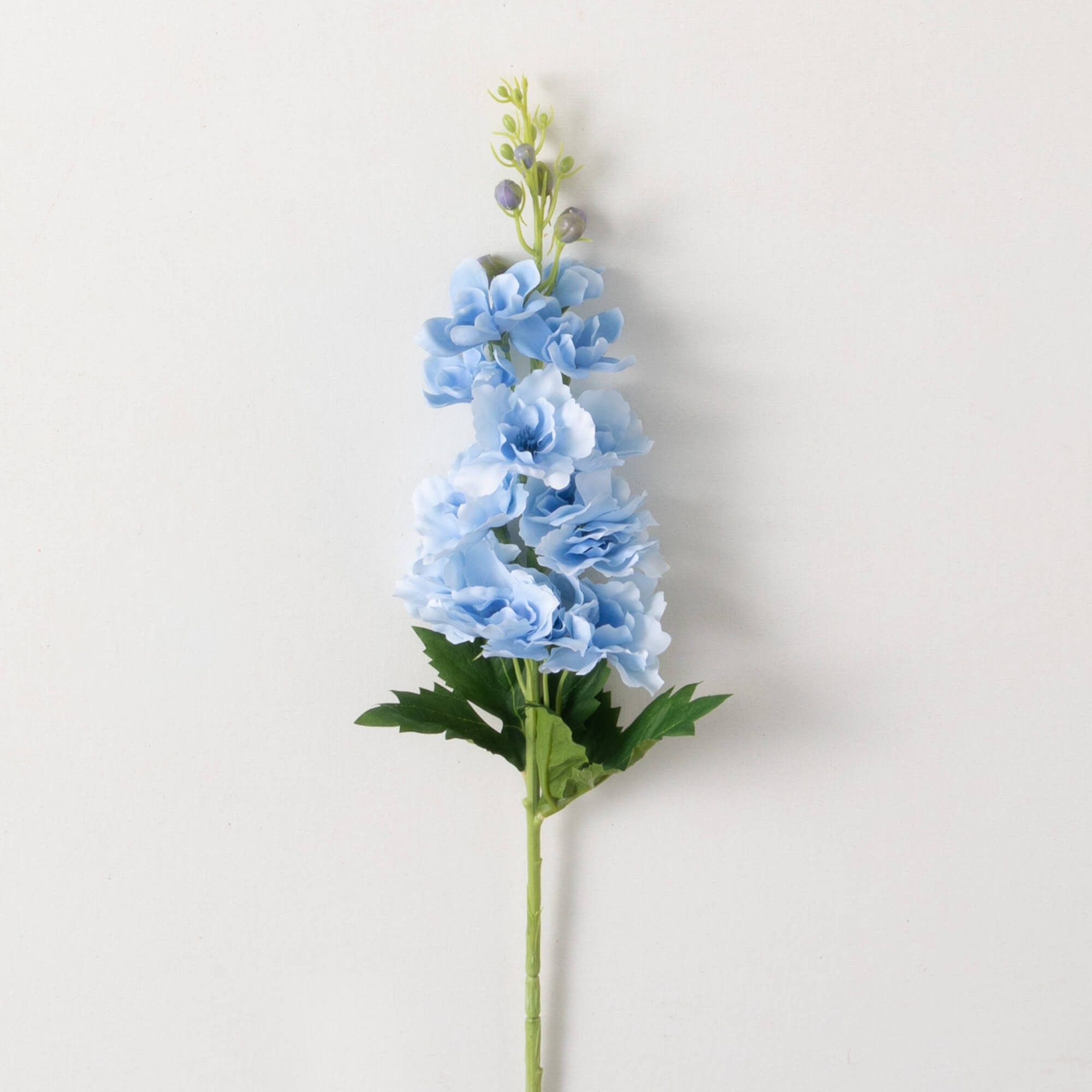 DELPHINIUM STEM