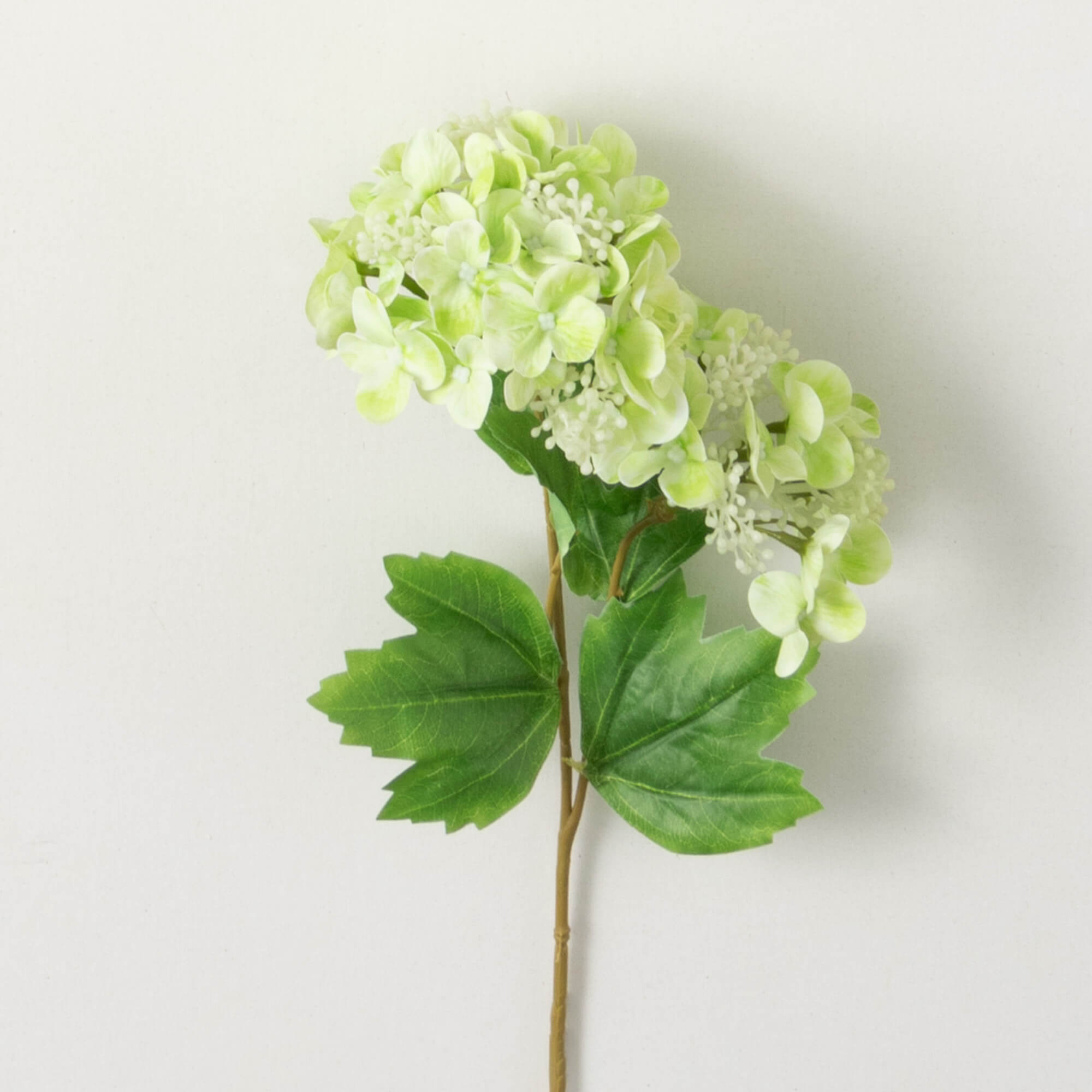 LIGHT GREEN HYDRANGEA SPRAY