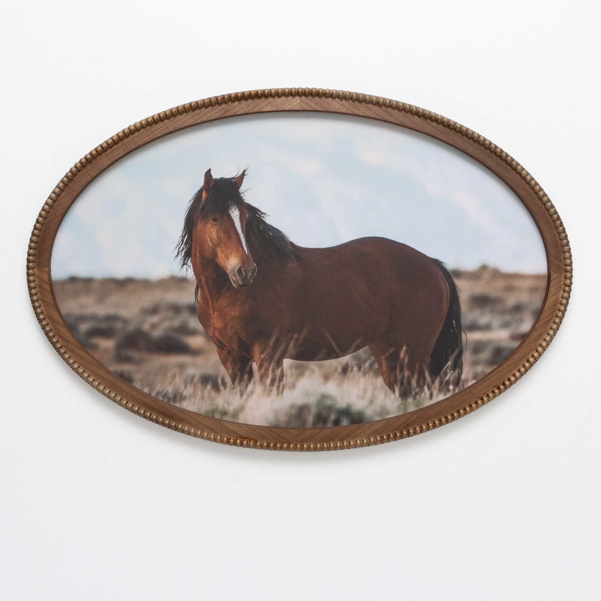 HORSE WALL DECOR