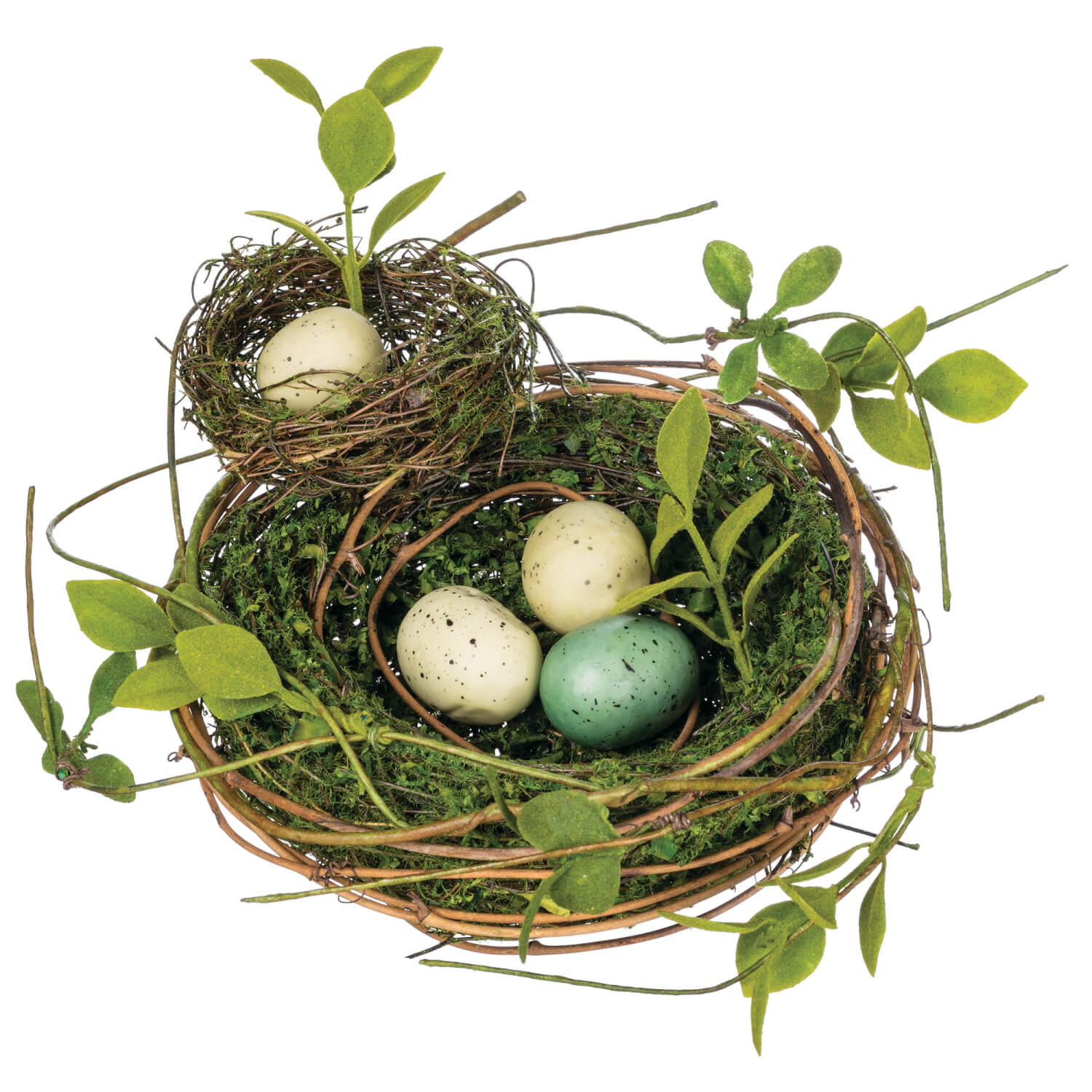 DOUBLE BIRDS NESTS WITH EGGS