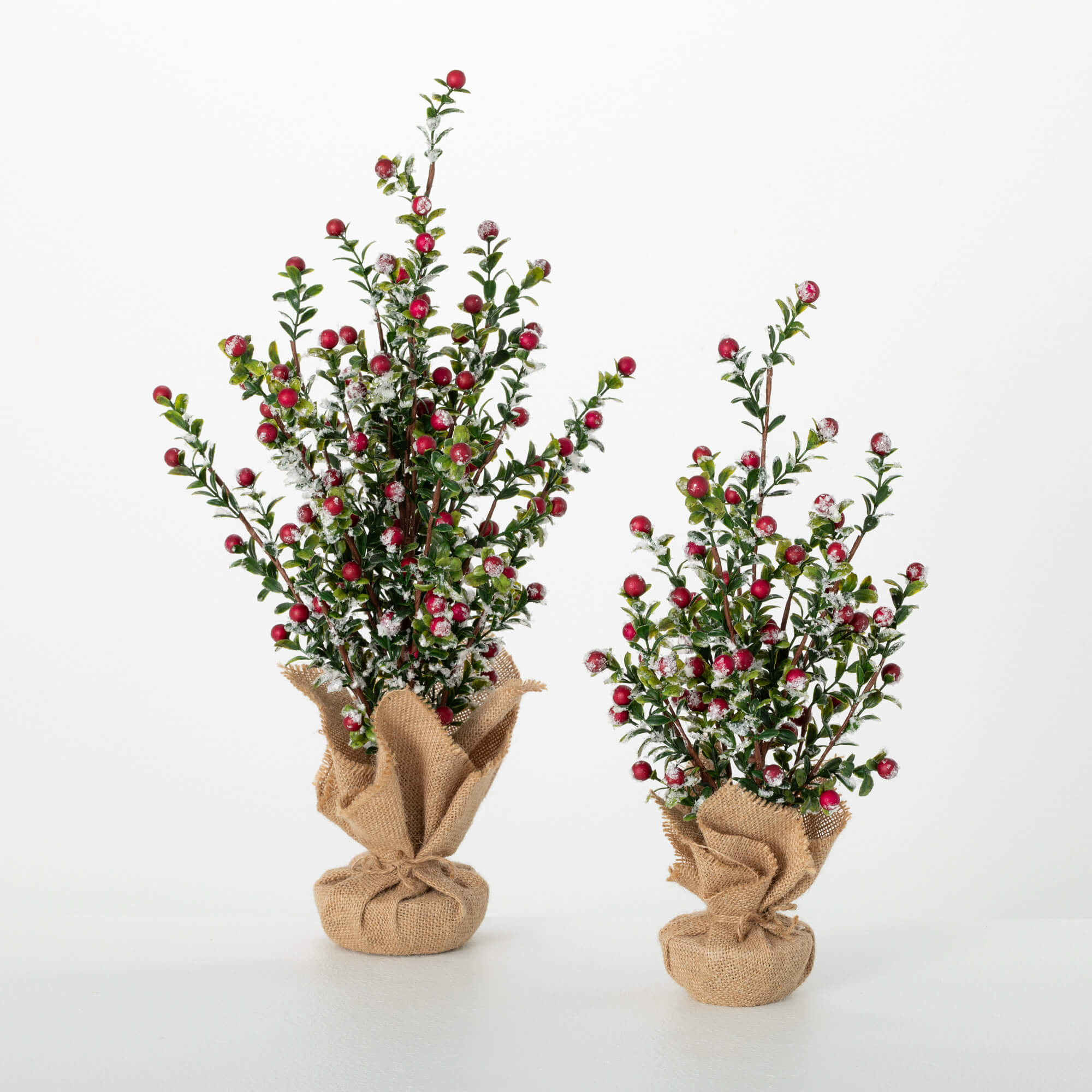 BOXWOOD BERRY TREE SET OF 2