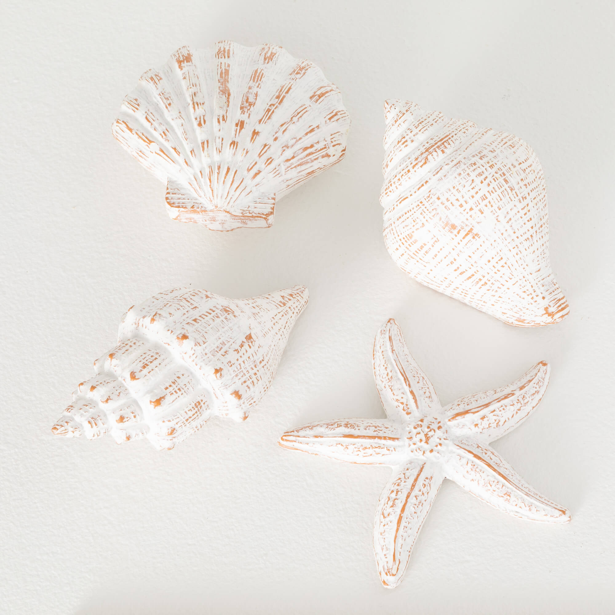 SEASHELL DECOR Set 4