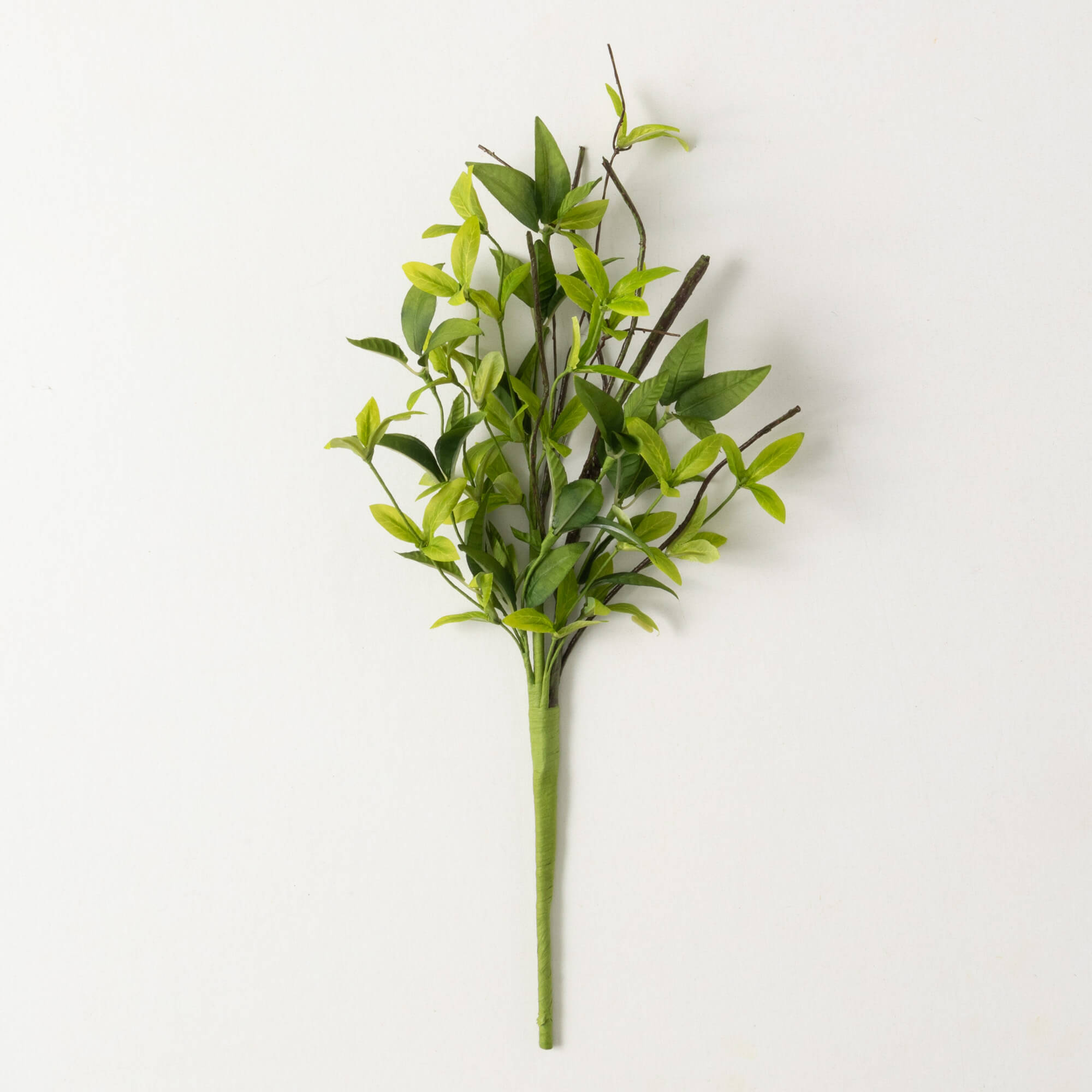 RUSCUS TWIG PICK