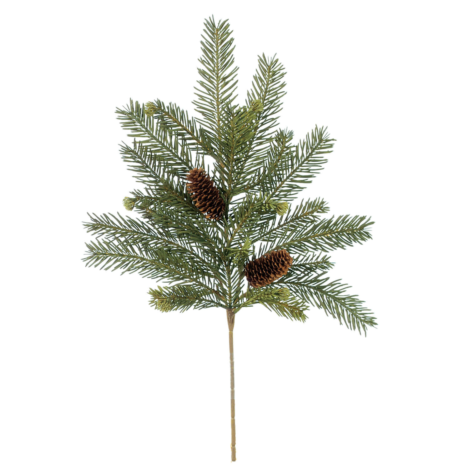 ALPINE FIR PICK