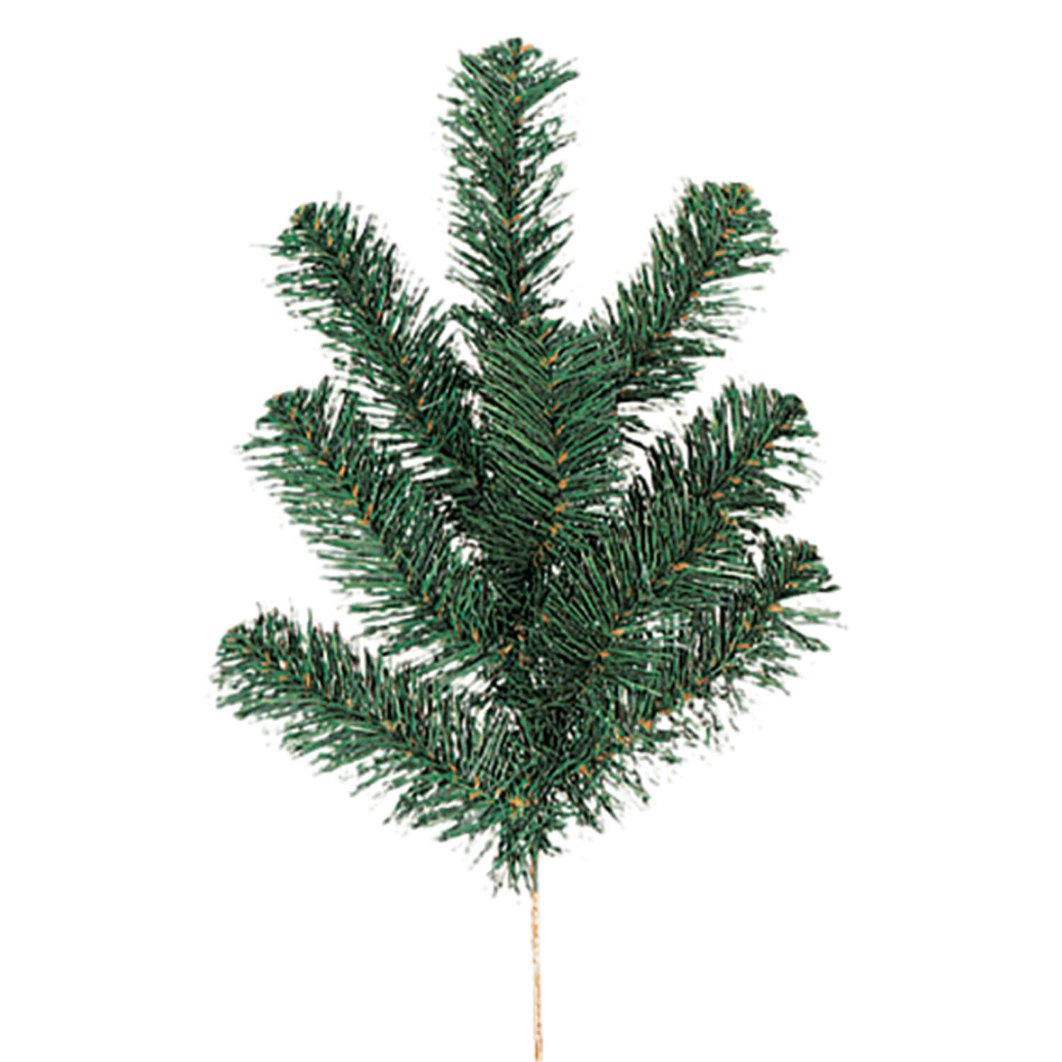 DOUGLAS PINE SPRAY