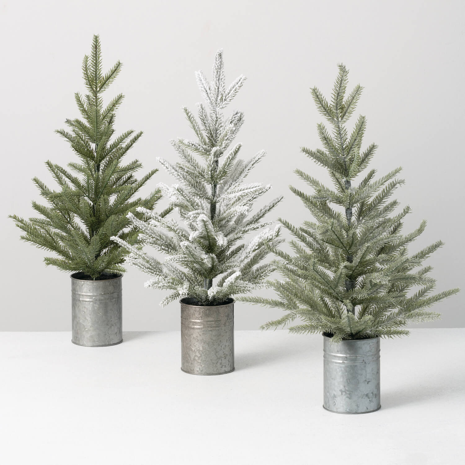 PINE TREE Set 3