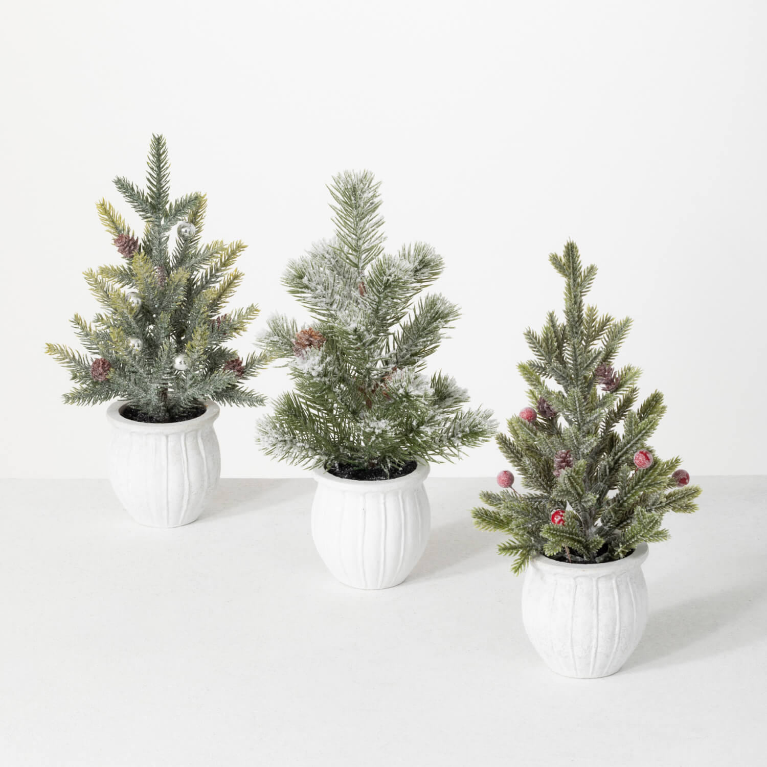 POTTED PINE TREE Set 3