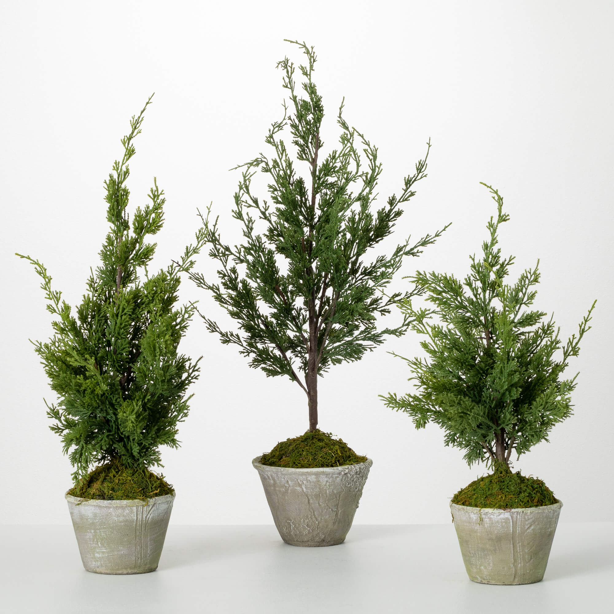 FAUX DWARF CEDAR TREE SET OF 3