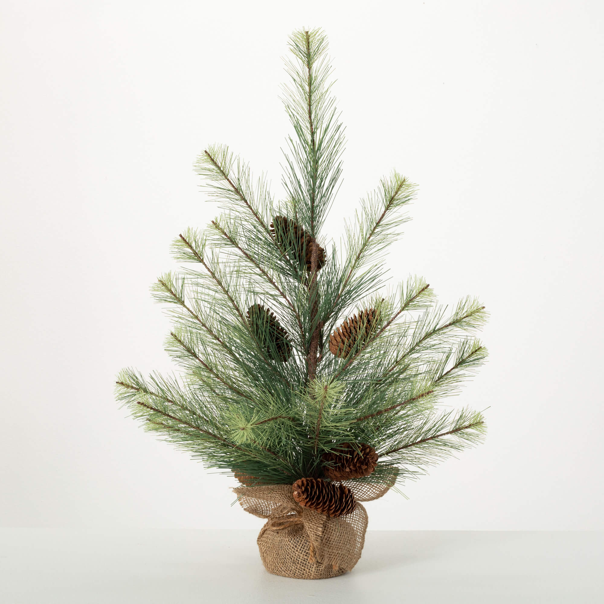 TABLETOP BLACK HILLS PINE TREE