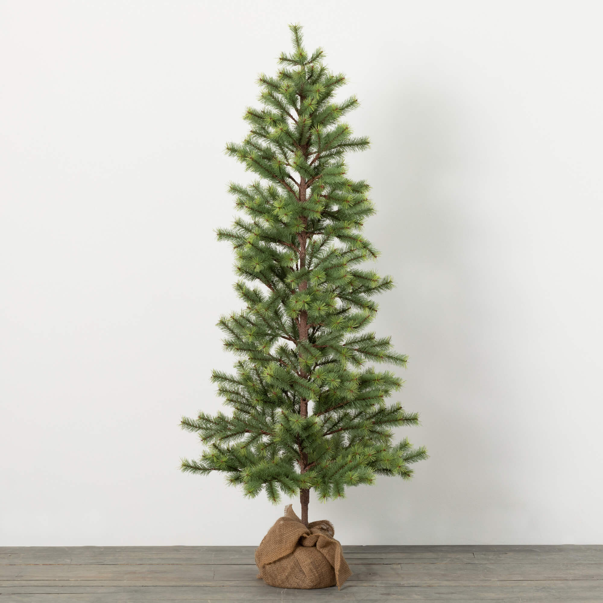 5' EMERALD PINE TREE IN BURLAP