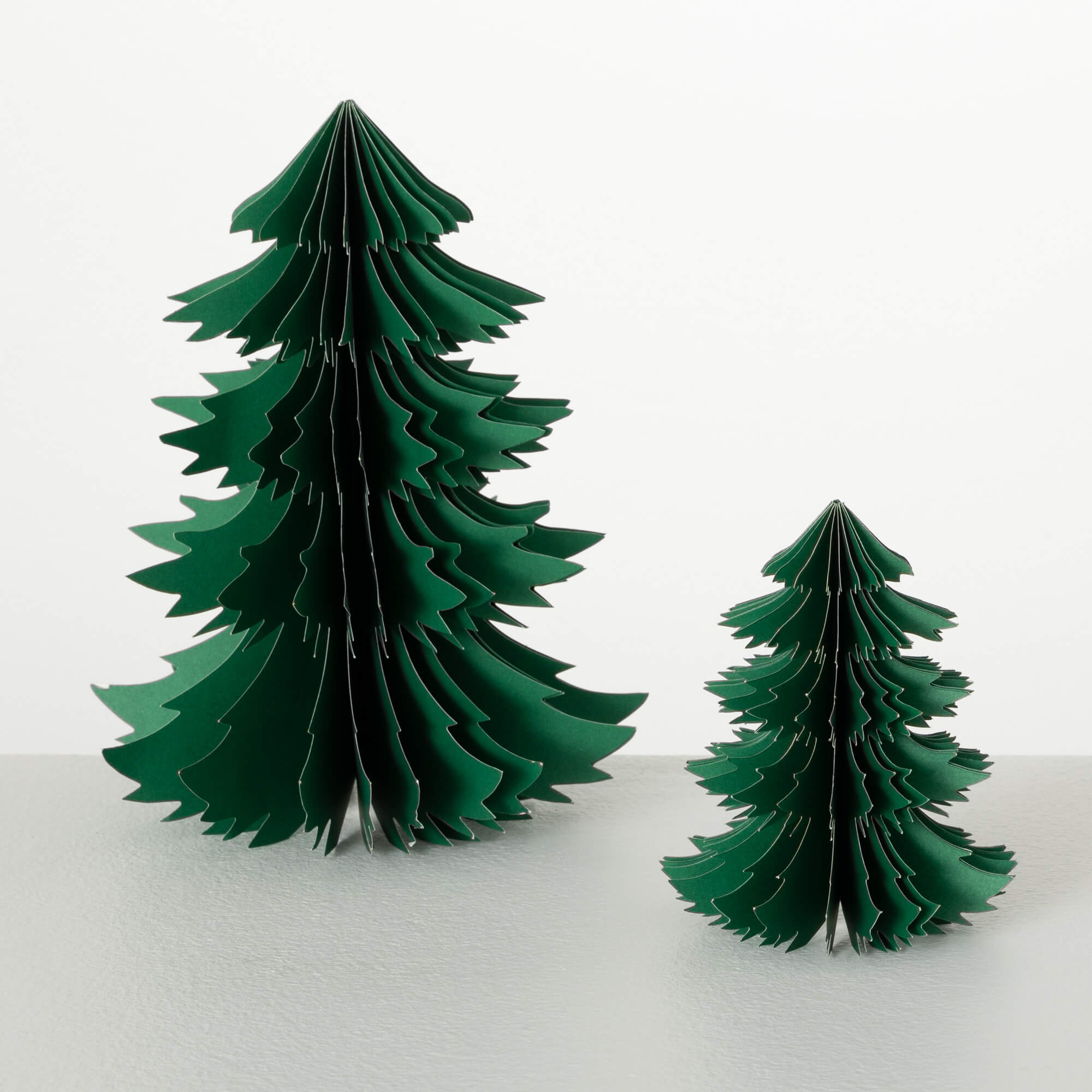 RINGLET TREE Set 2