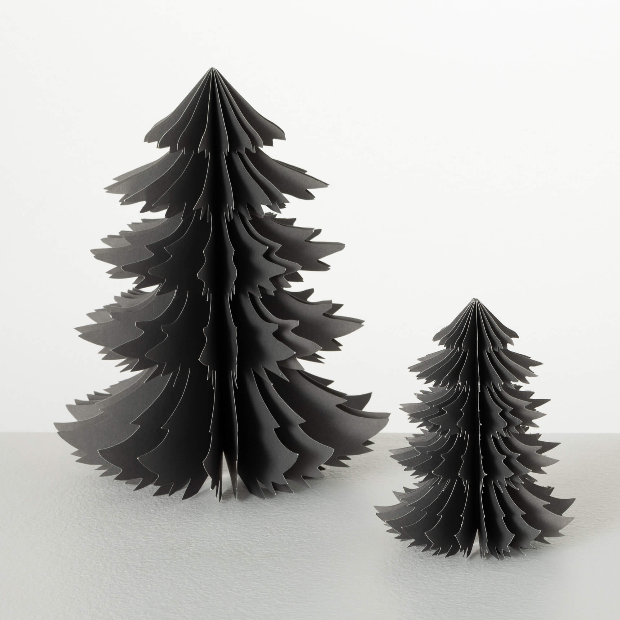 RINGLET TREE Set 2