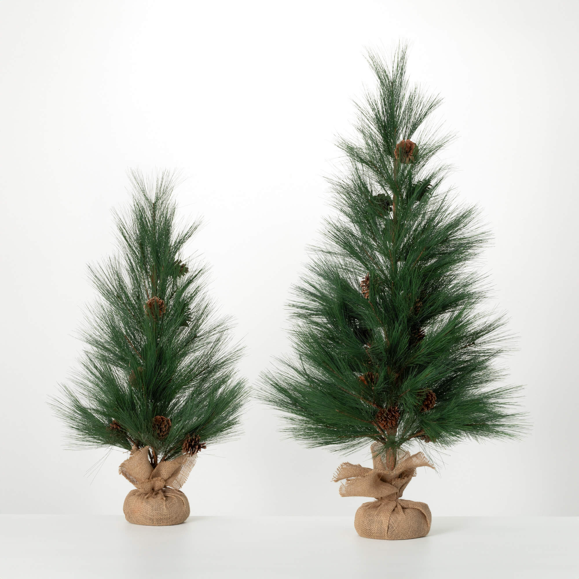 LONG PINE TREE SET OF 2