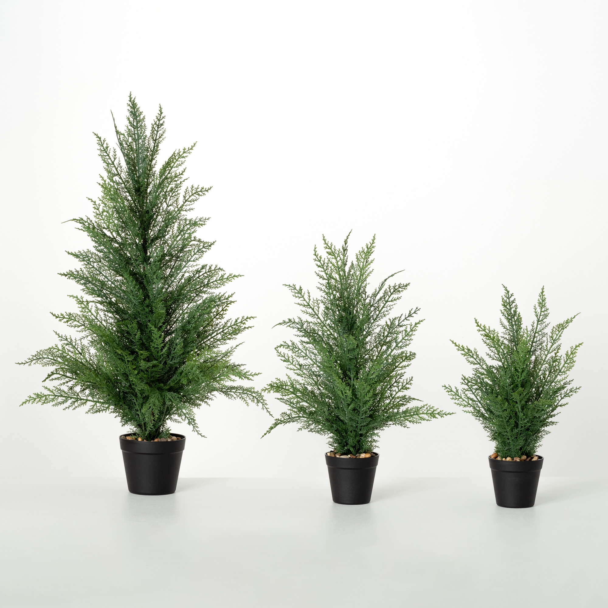 POTTED CEDAR TREE SET OF 3